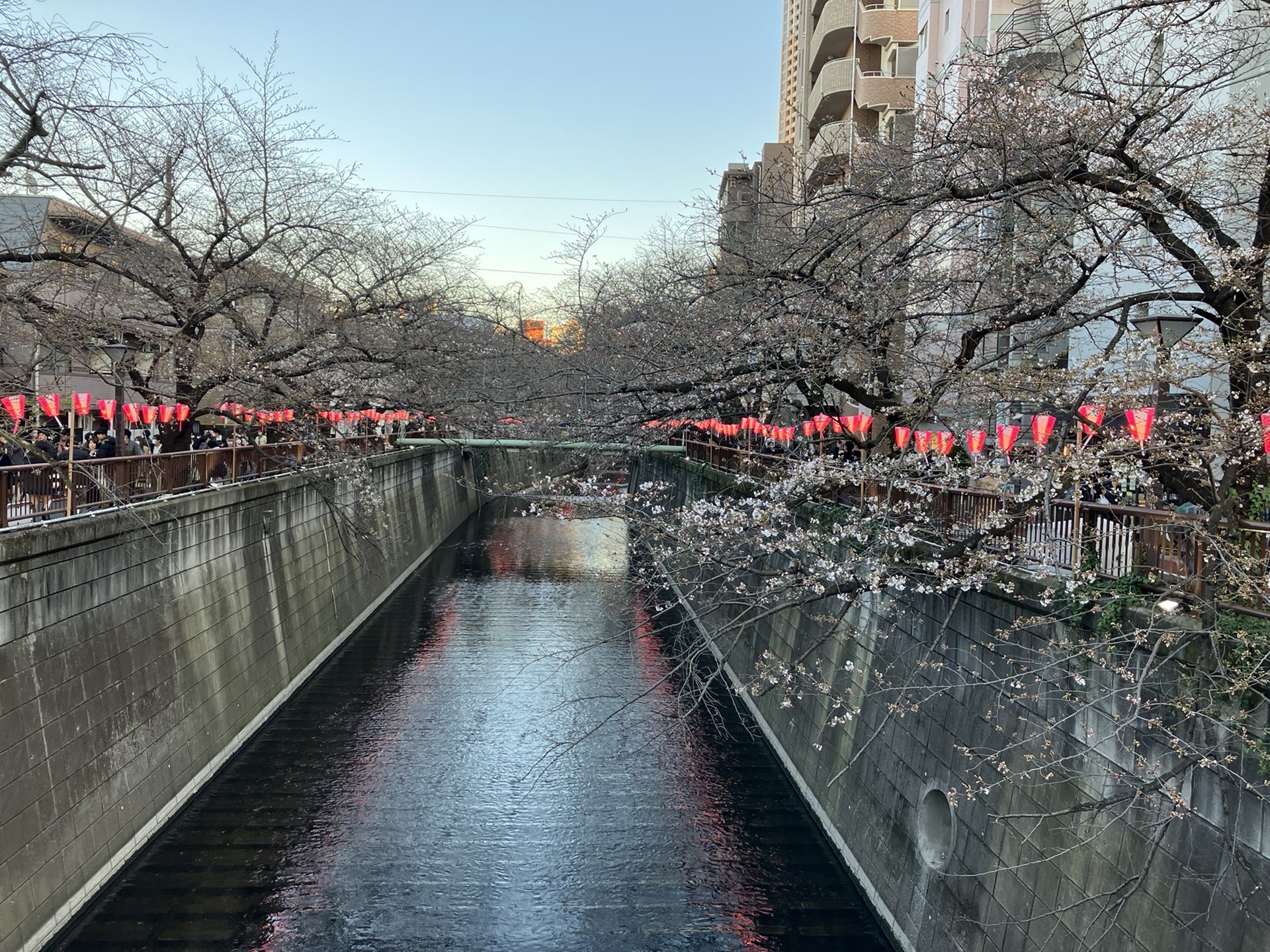 東京自助遊攻略