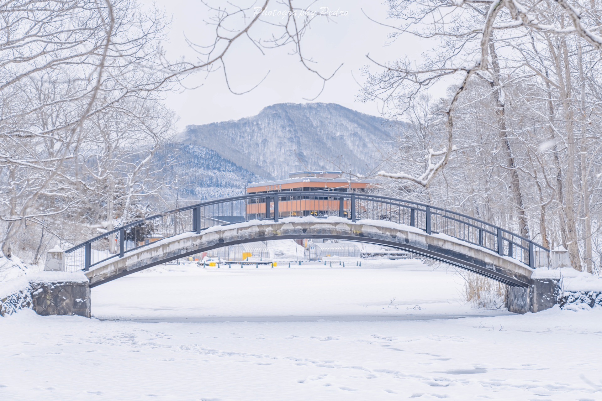 北海道自助遊攻略