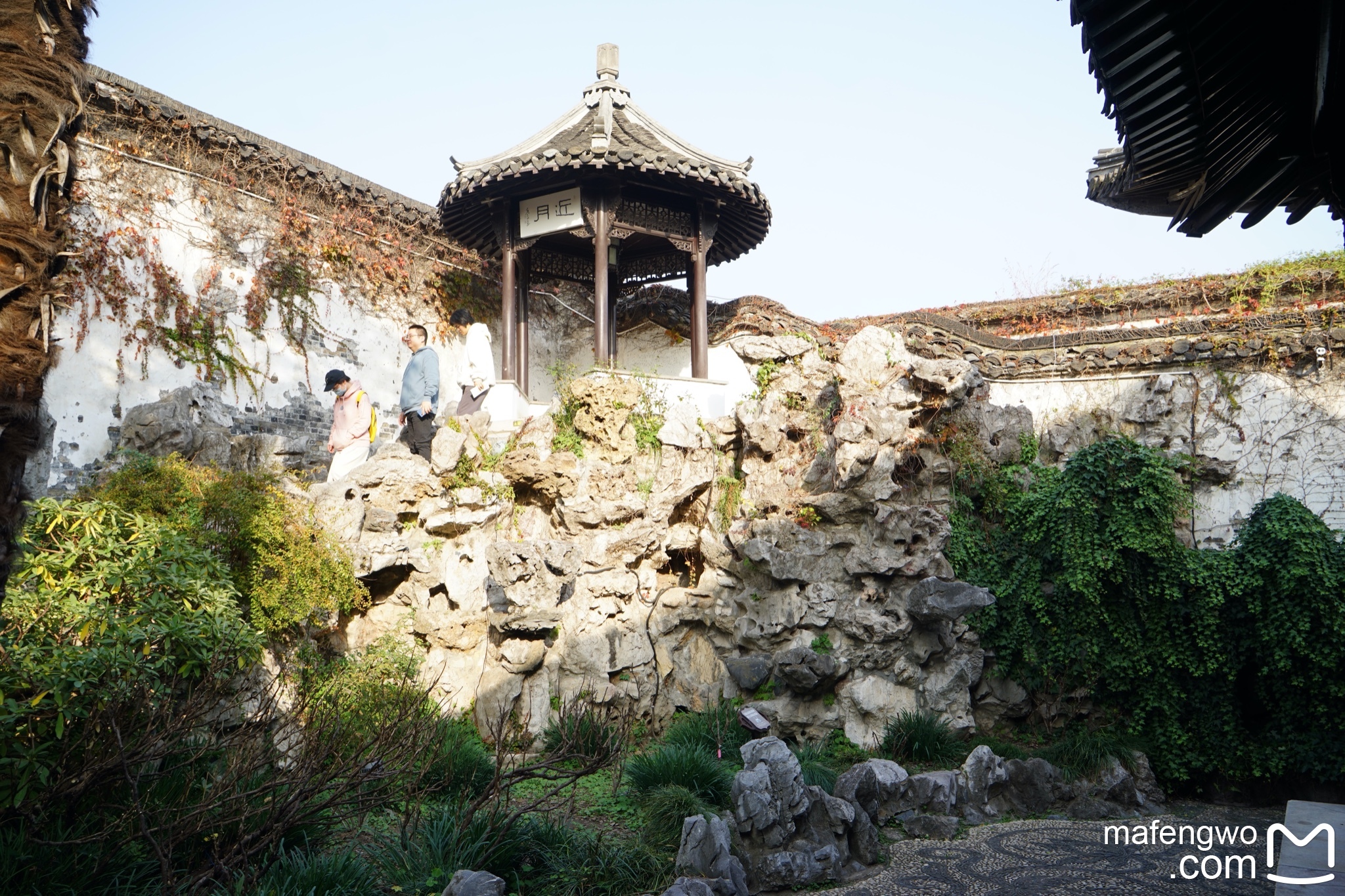 扬州秋色入画来—漫游瘦西湖|何园|大运河博物馆