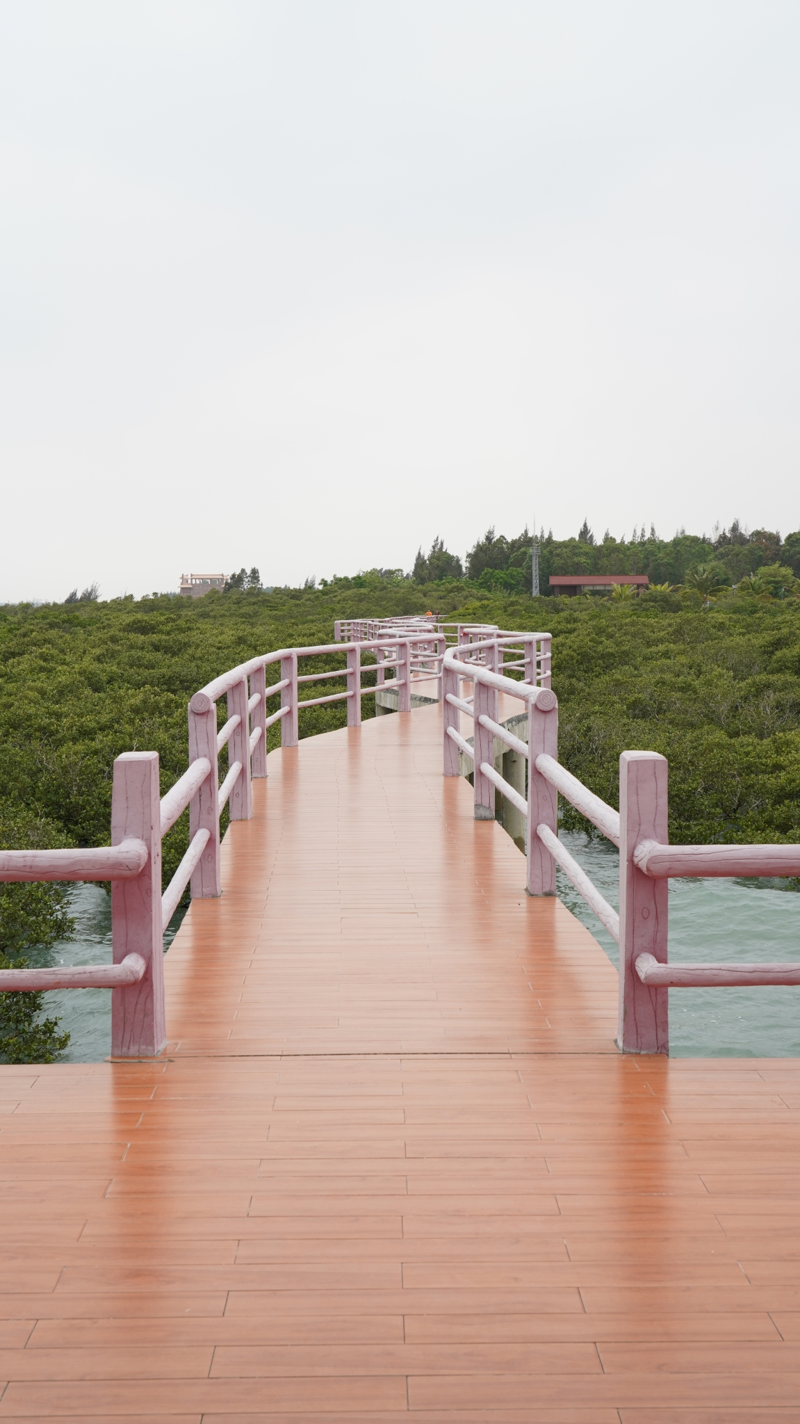 湛江市霞山区公园