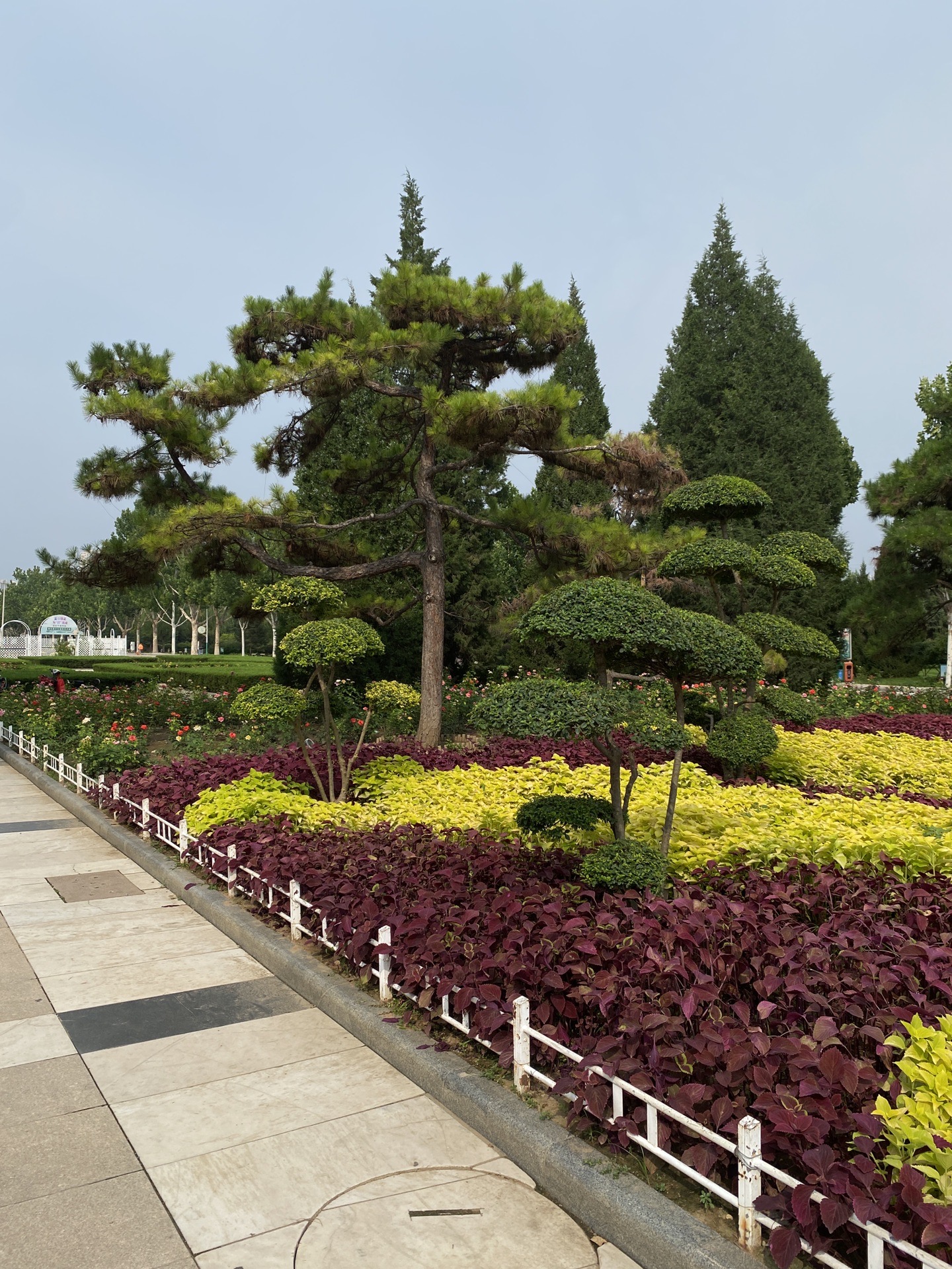 保定国家级植物园图片