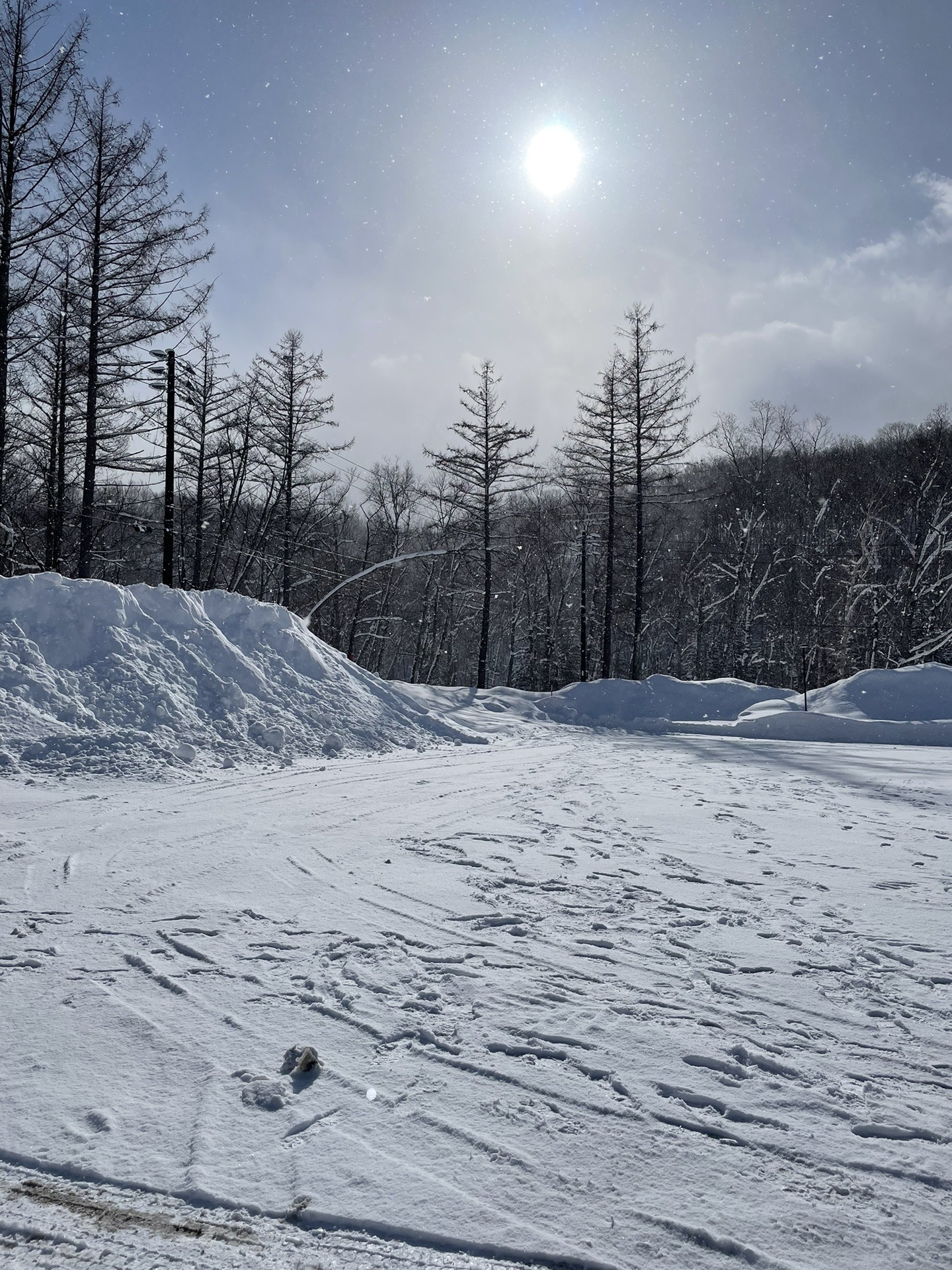 北海道自助遊攻略