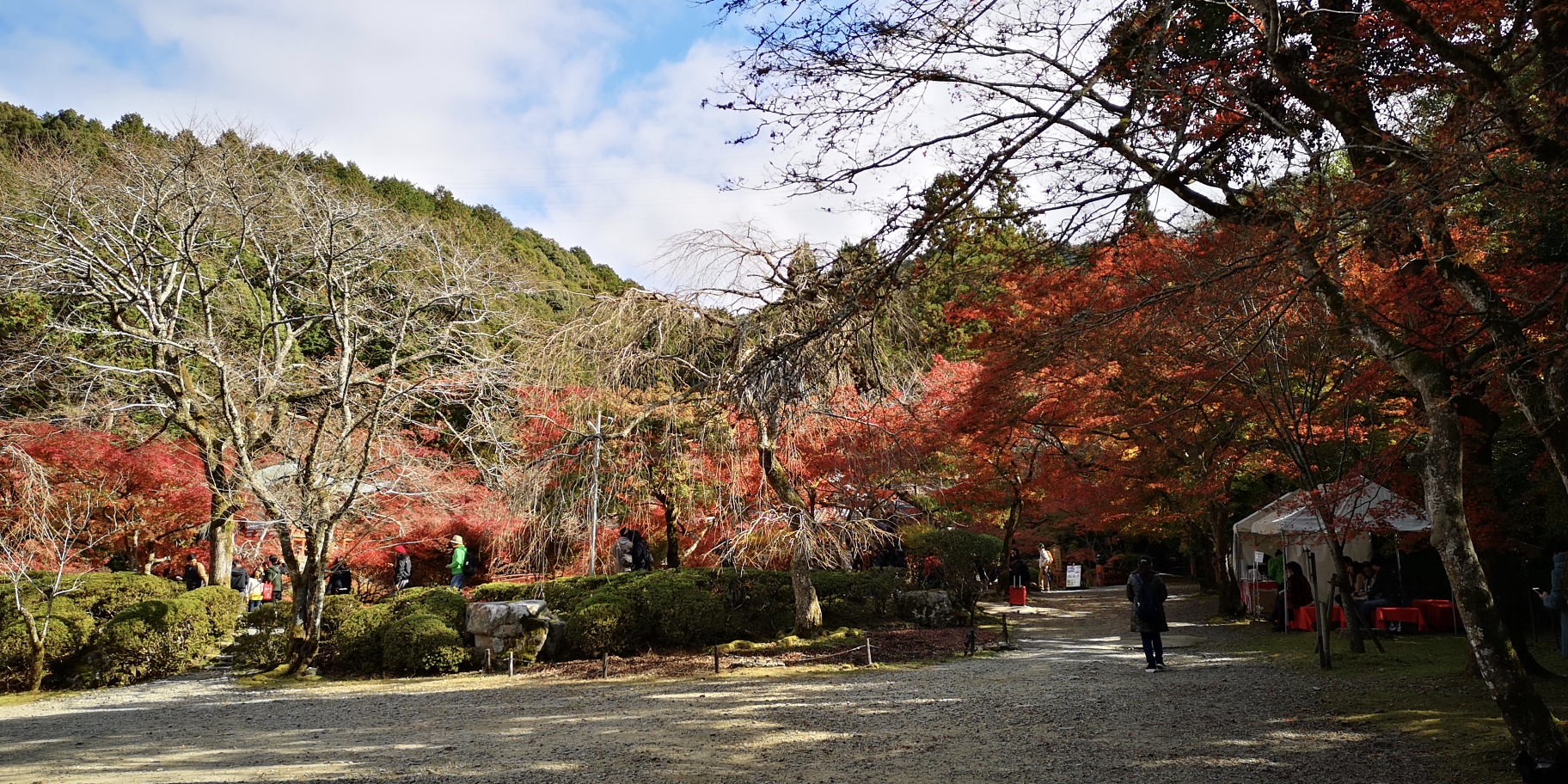 京都自助遊攻略