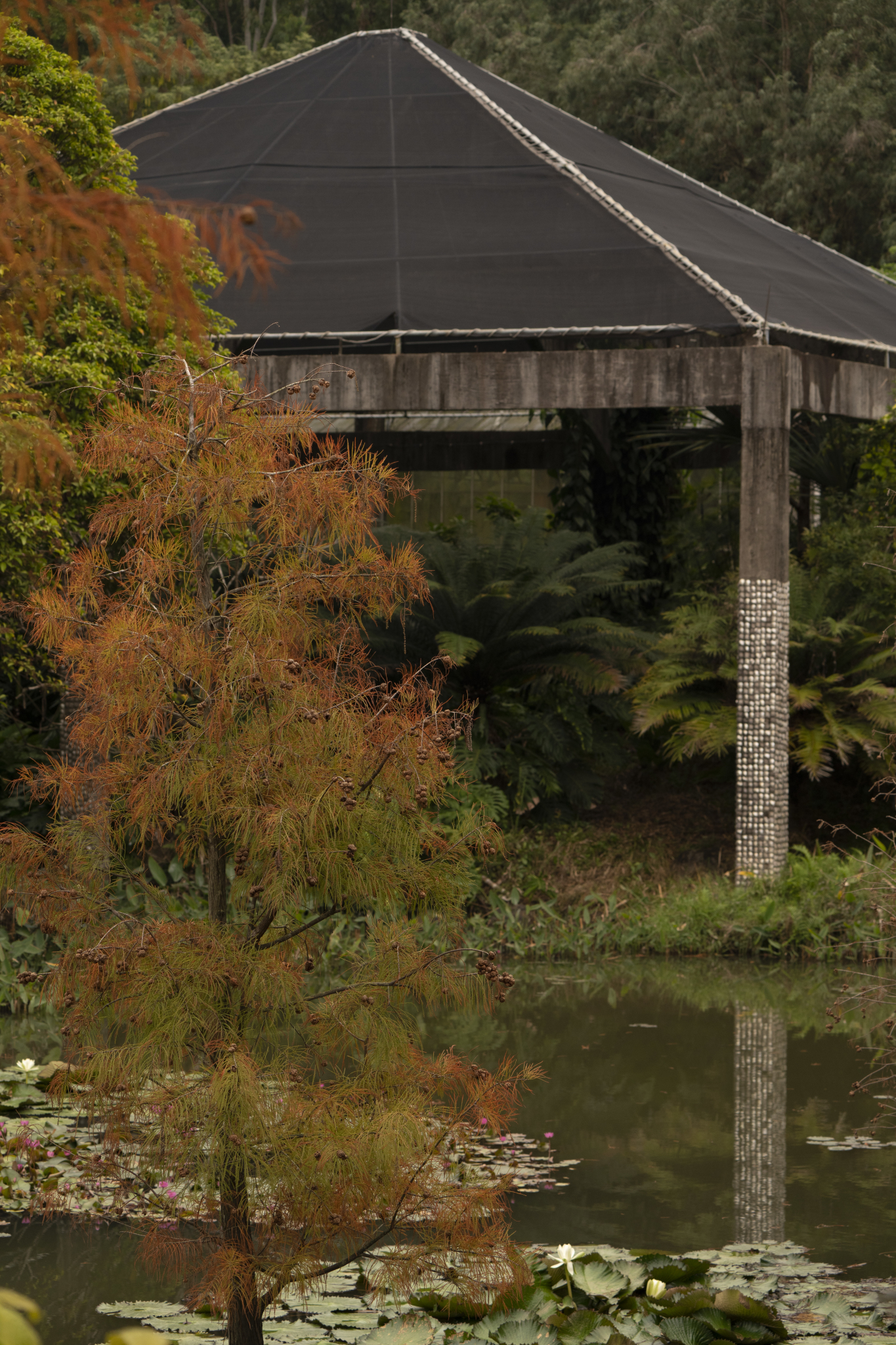 湛江市霞山区公园