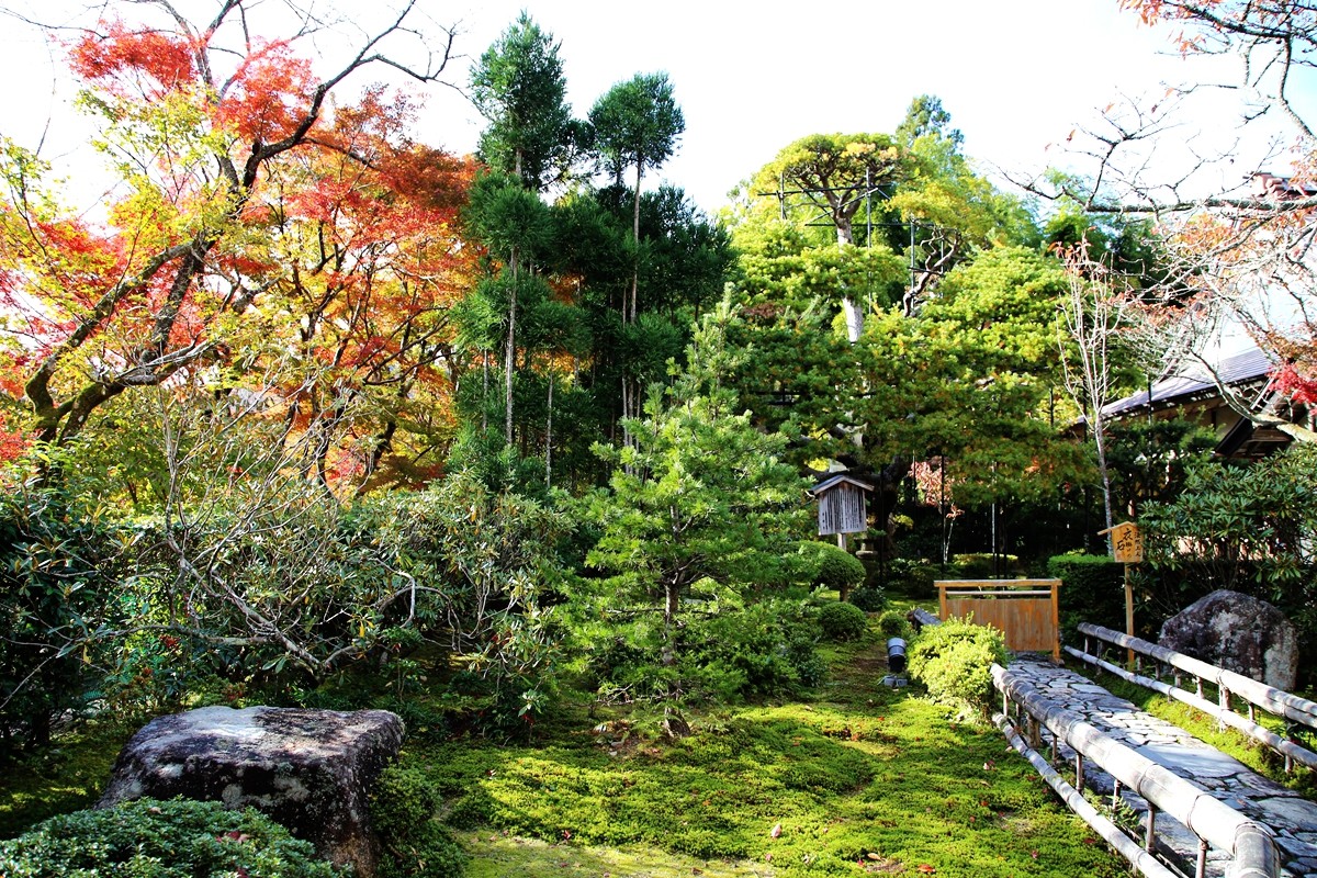 京都自助遊攻略