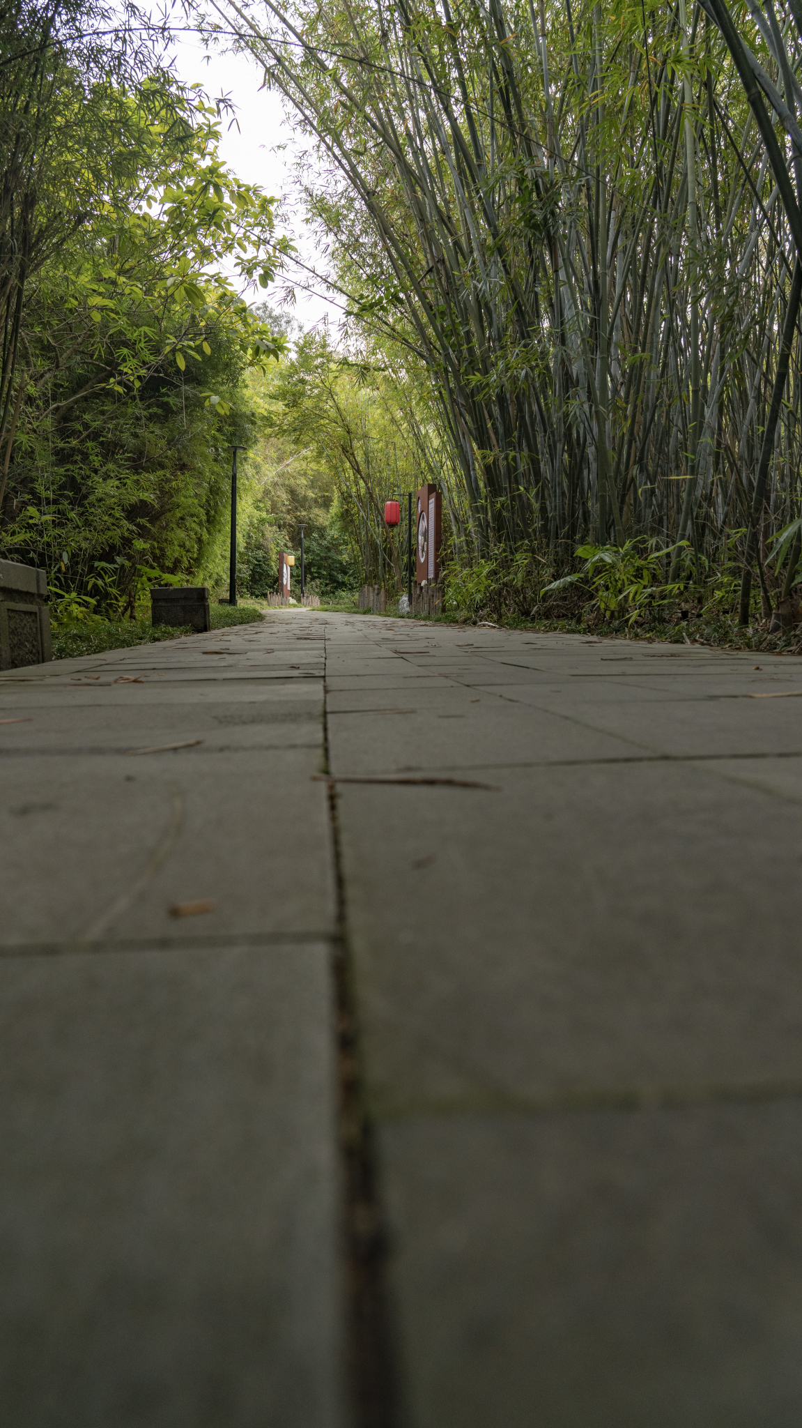 湛江市霞山区公园