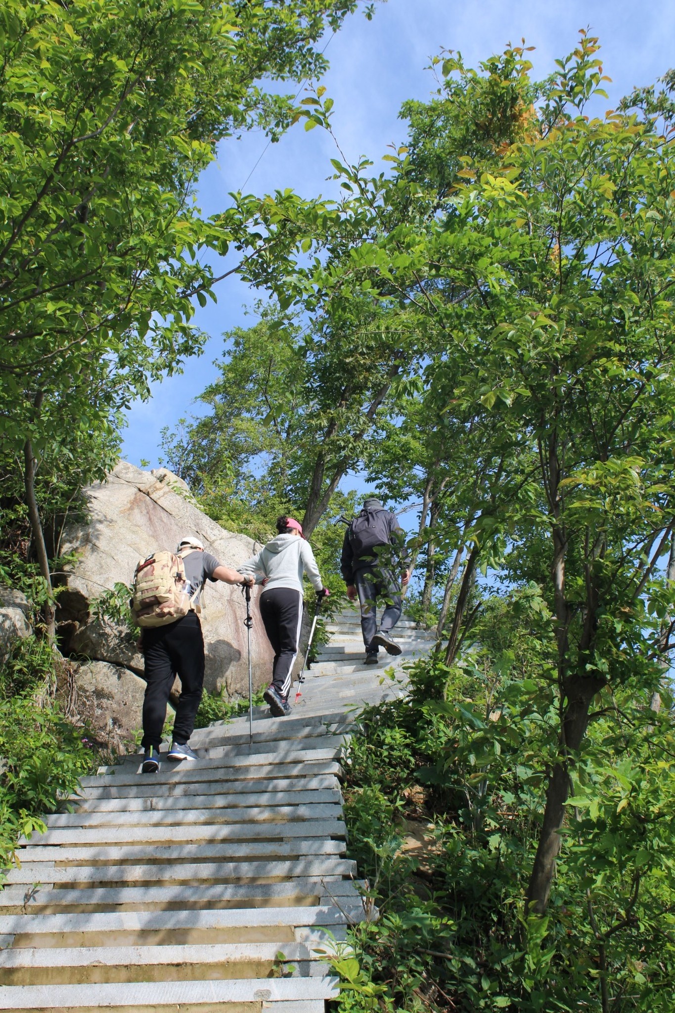 英山羊角尖山客游之一百五十七