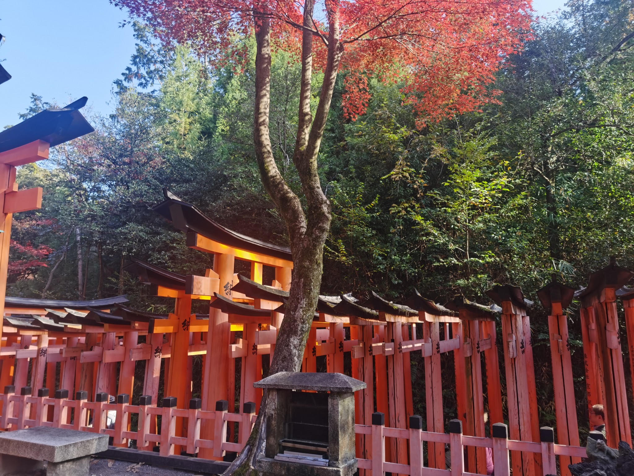 京都自助遊攻略