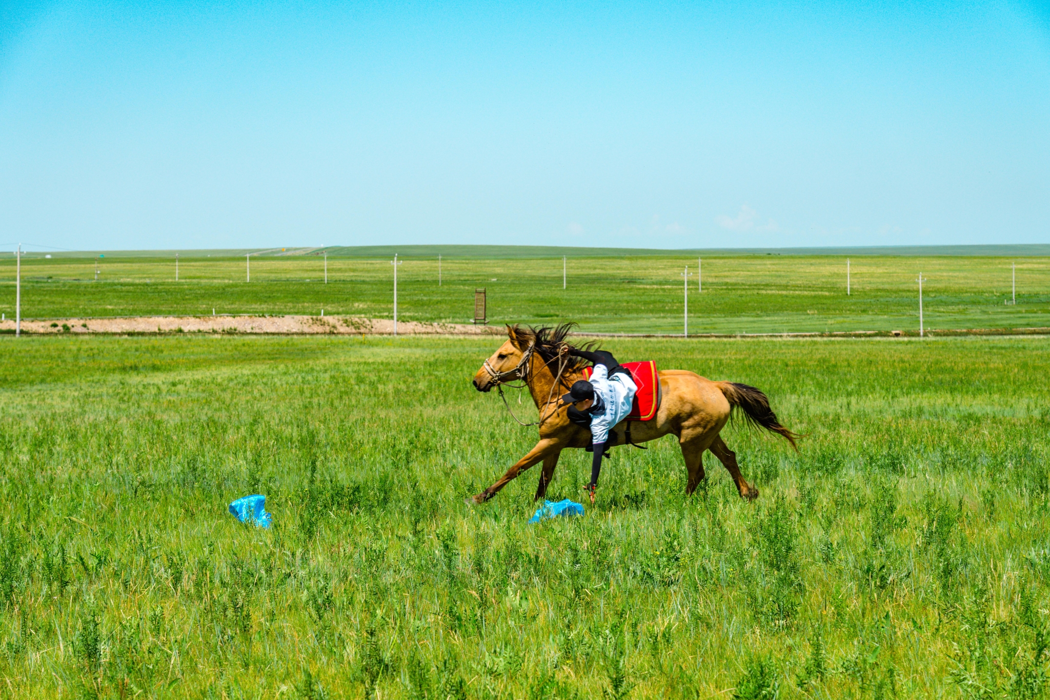 赛马,射箭等表演,只要你时间充足,在这里待个一两天,享受一下草原慢
