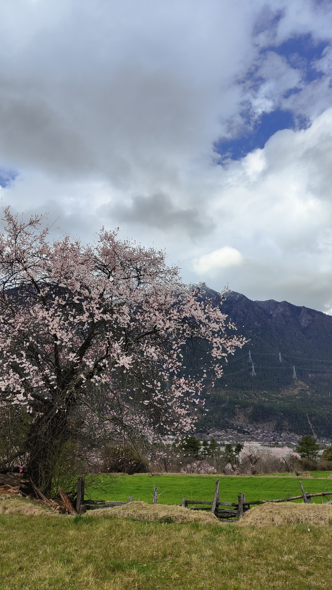 林芝自助遊攻略