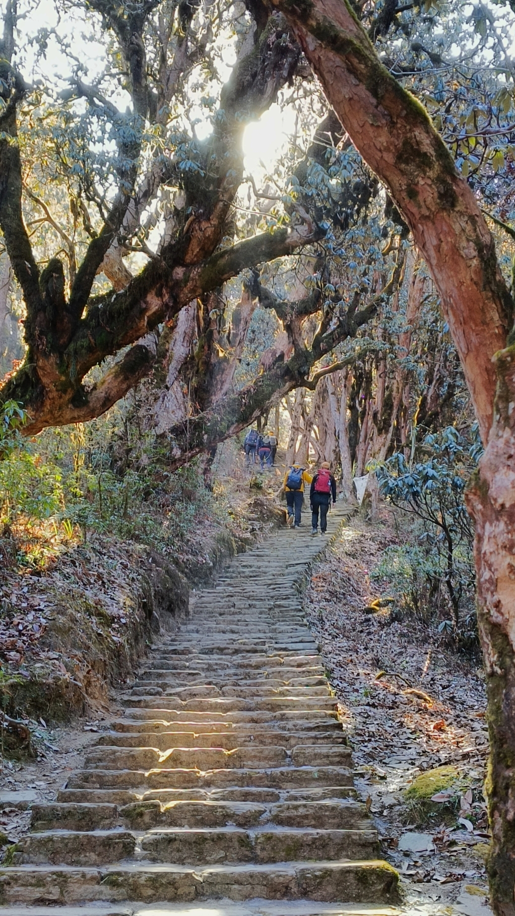 尼泊爾自助遊攻略