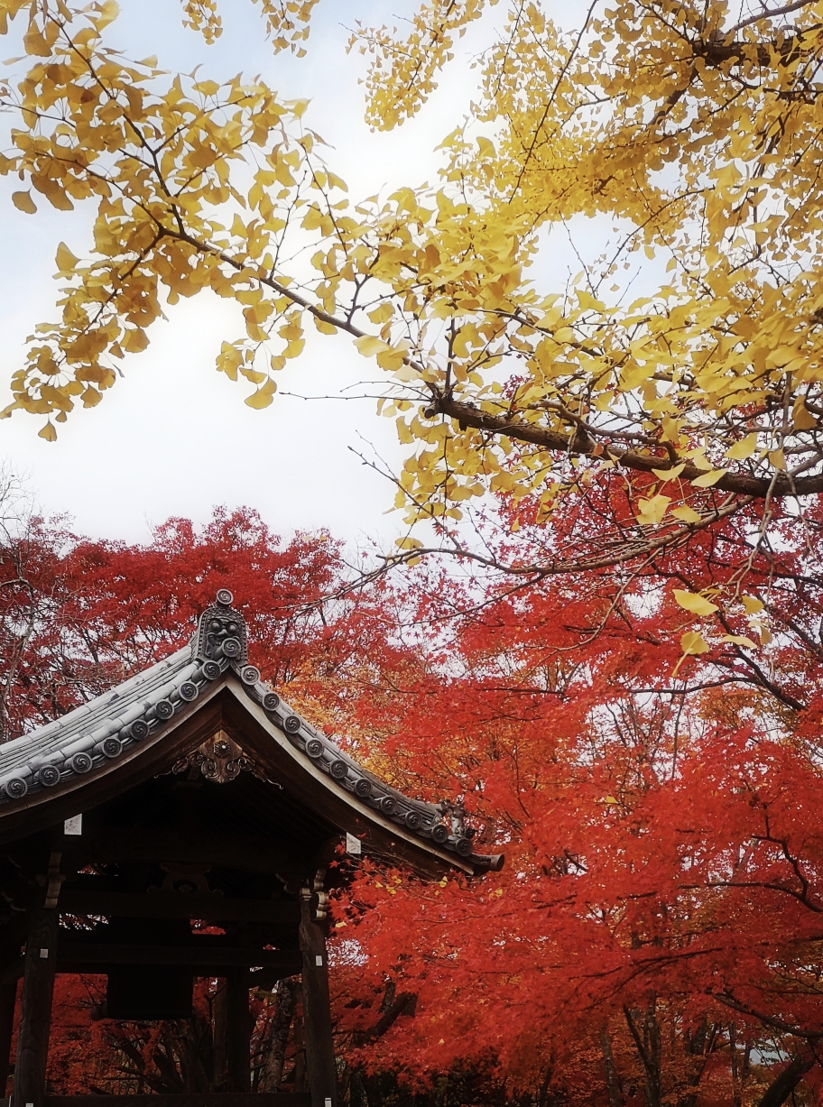 京都自助遊攻略