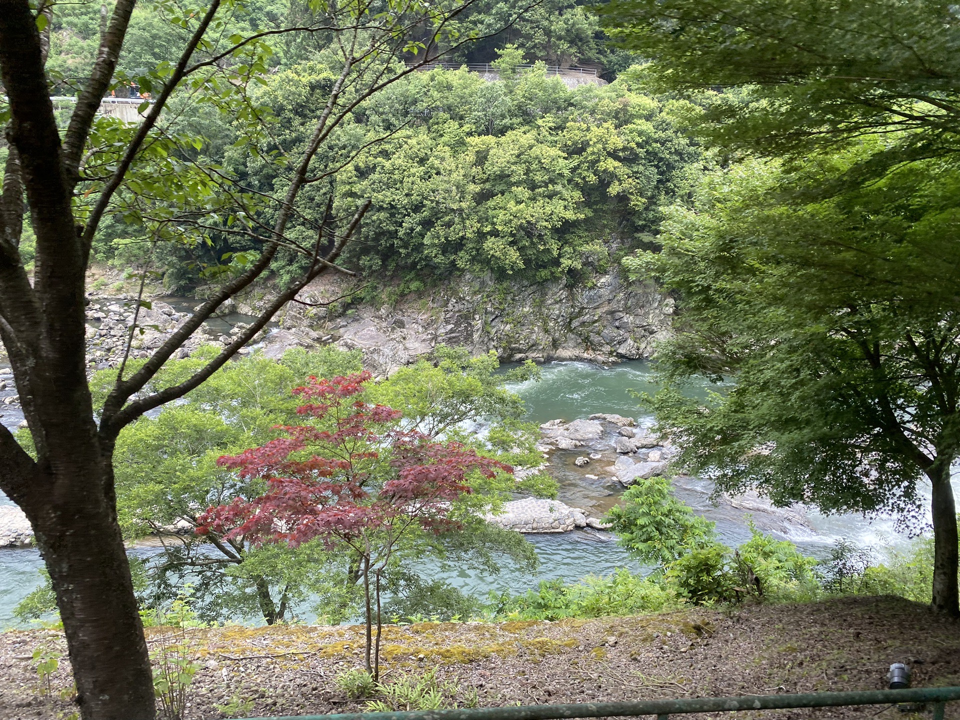 京都自助遊攻略