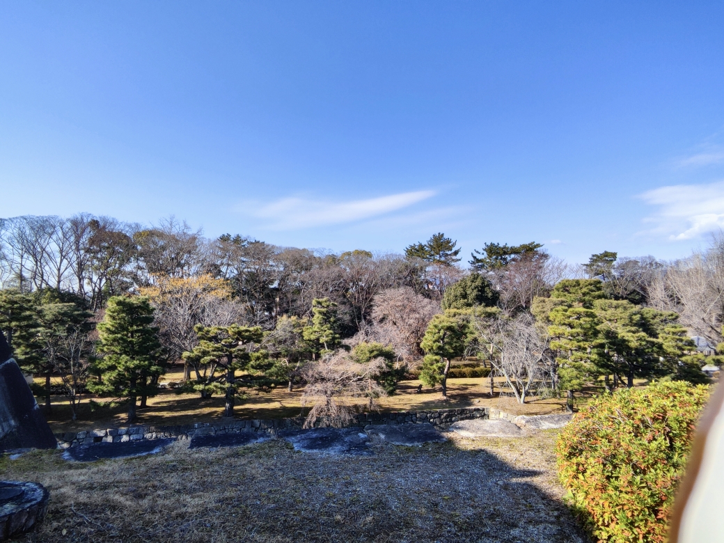 京都自助遊攻略