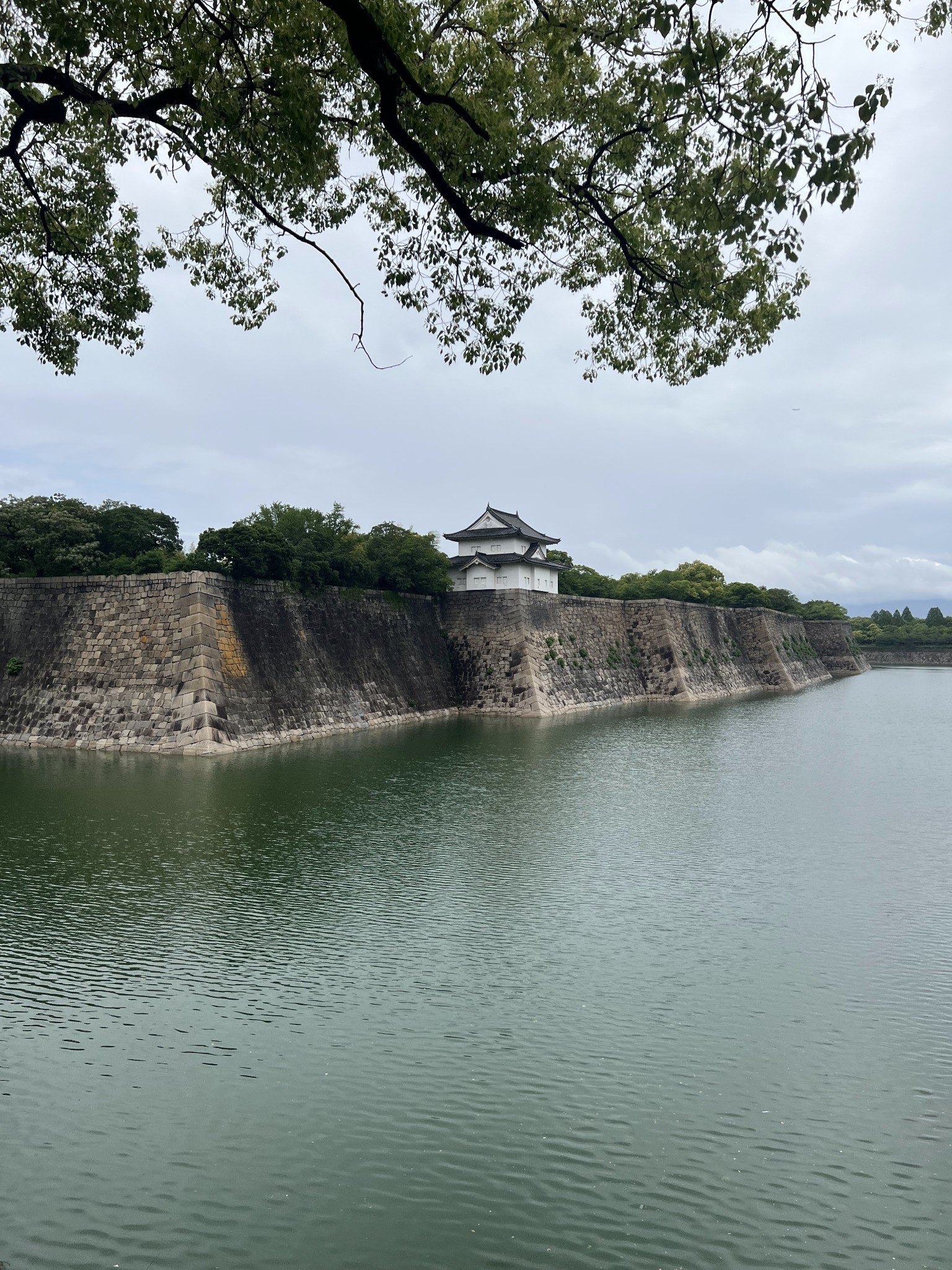 京都自助遊攻略