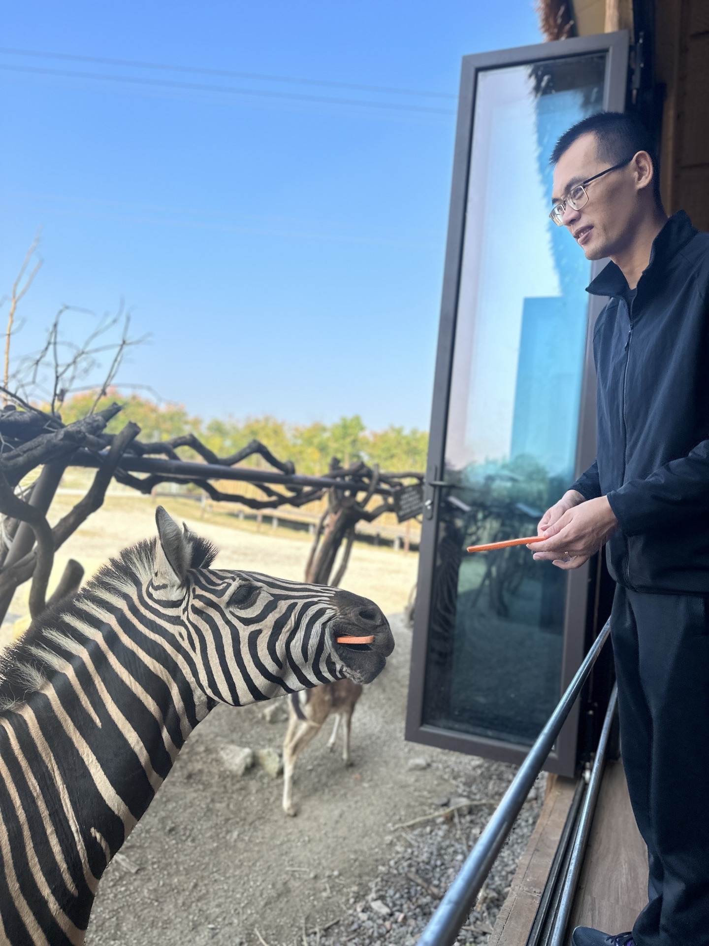 day4:南通森林野生动物园day3:余姚-南通