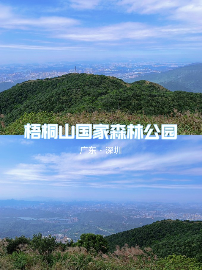 深圳去哪里比較好玩? 