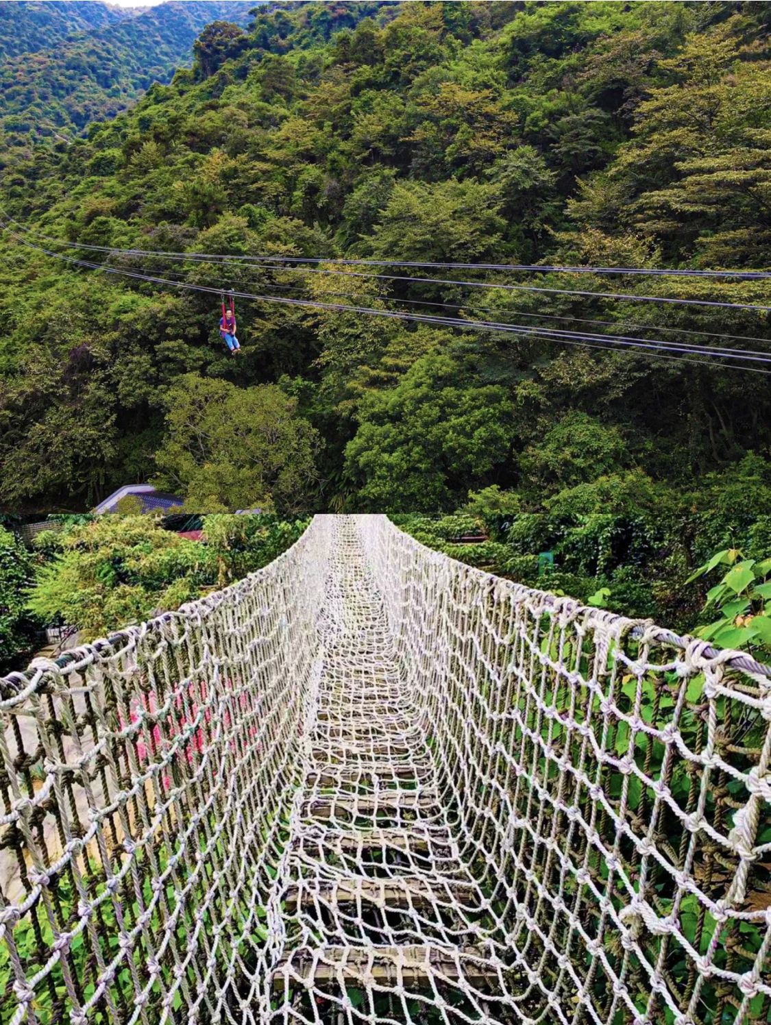 佛山|南丹山森林王国全攻略96附门票表99,广东自助游攻略 - 马