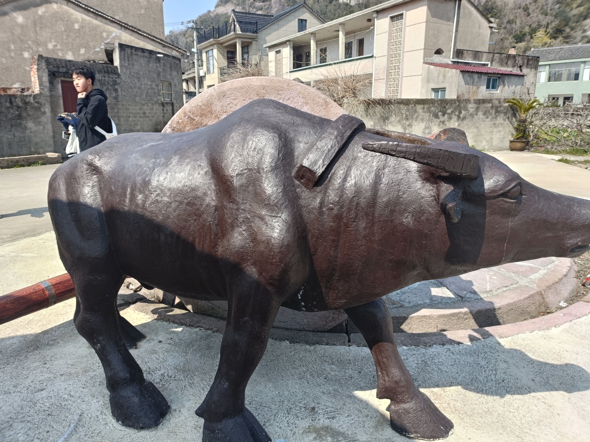 宁海青珠旅游（宁海县青珠农场图片） 宁海青珠旅游（宁海县青珠农场图片）《宁海青珠农场最新规划》 旅游攻略