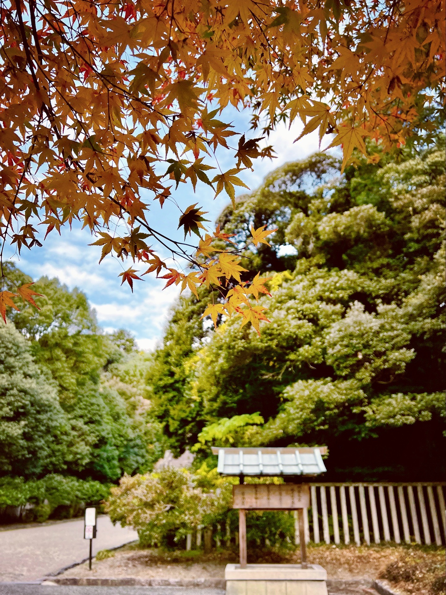 京都自助遊攻略