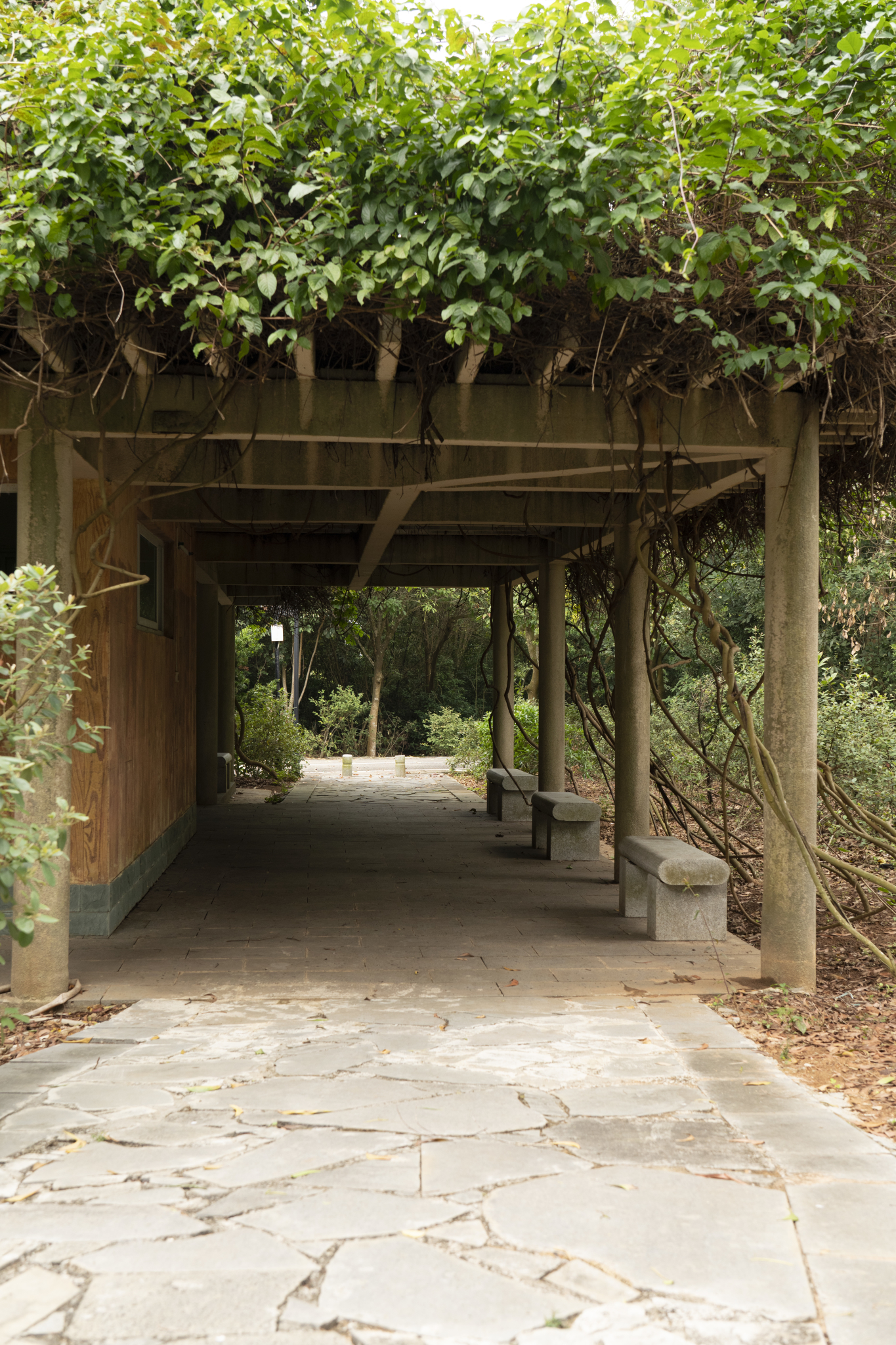 湛江市霞山区公园