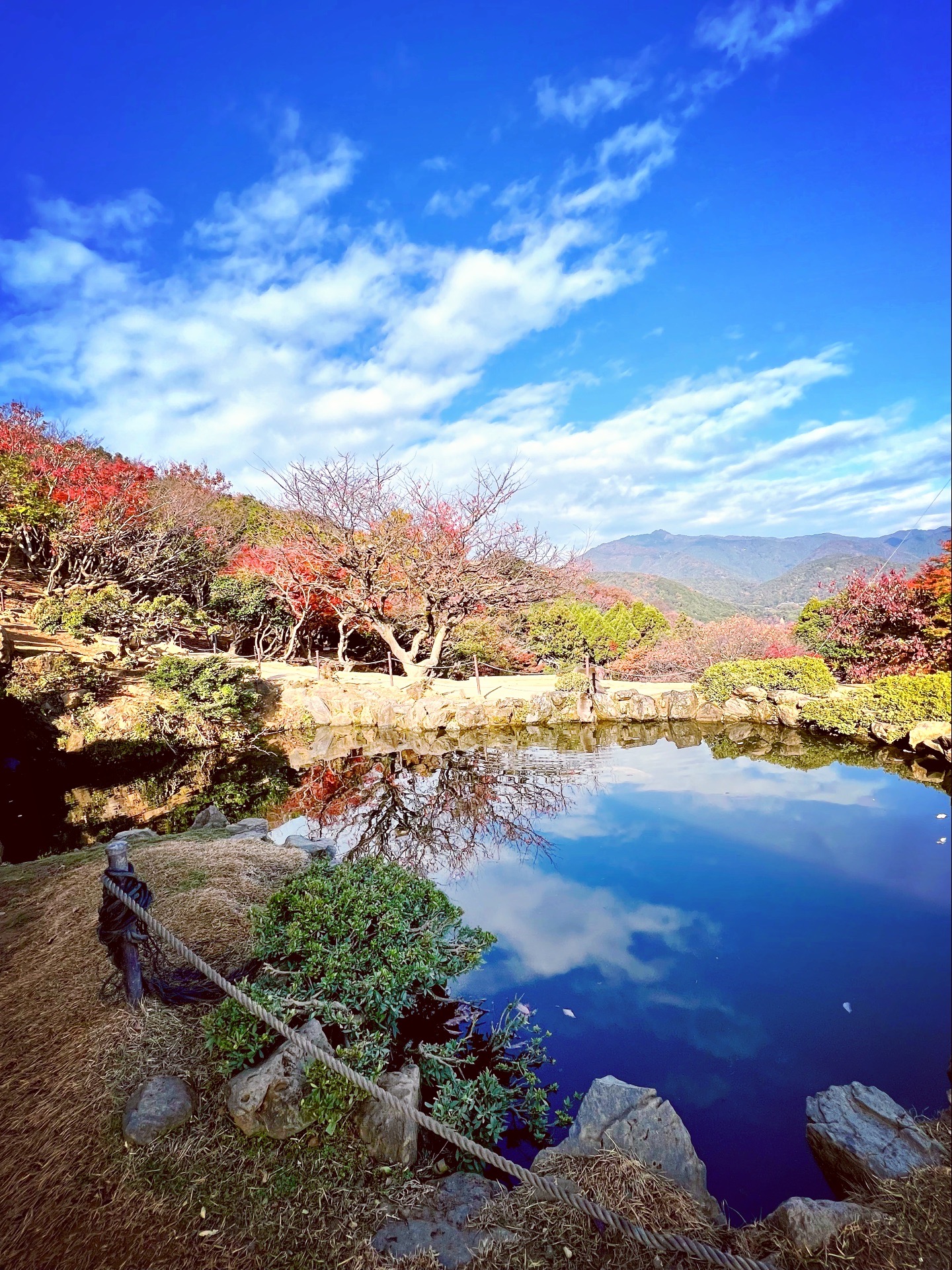 京都自助遊攻略