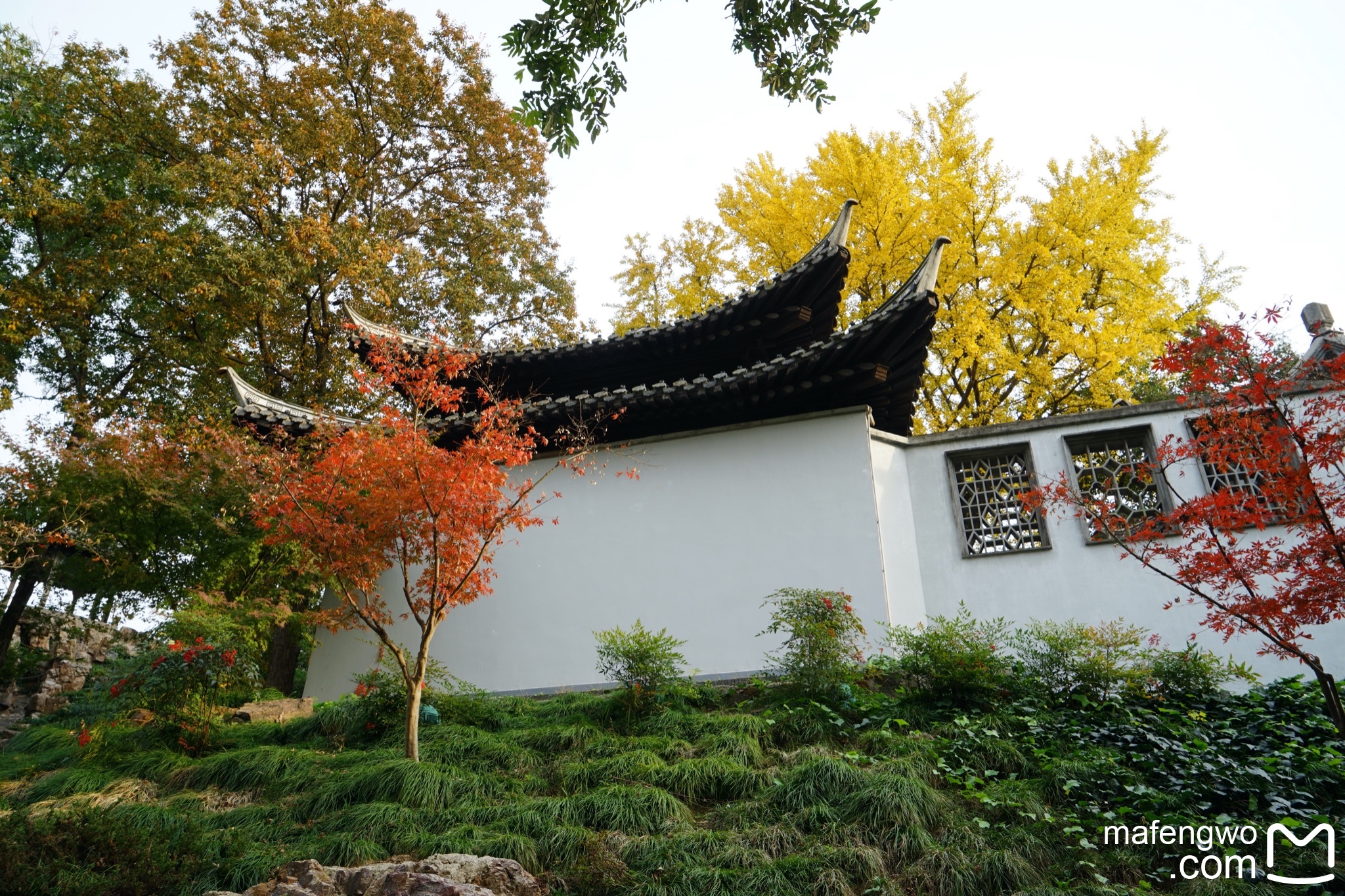 瘦西湖徐园瘦西湖一,看在前面人物/情侣/夫妻出发时间/2023-11-232024