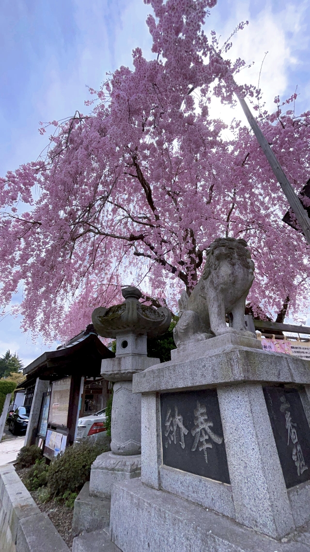 青森縣自助遊攻略