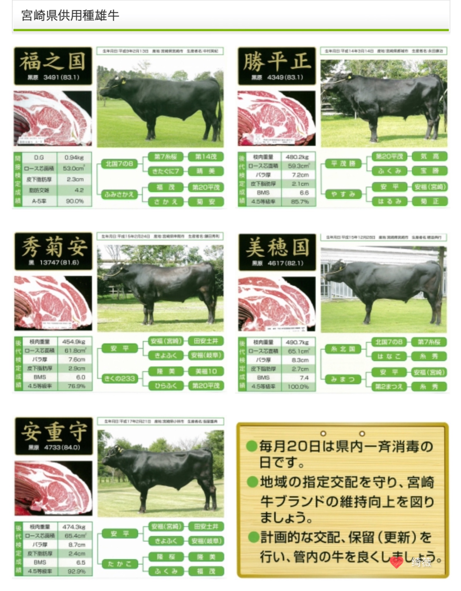 九州自助遊攻略