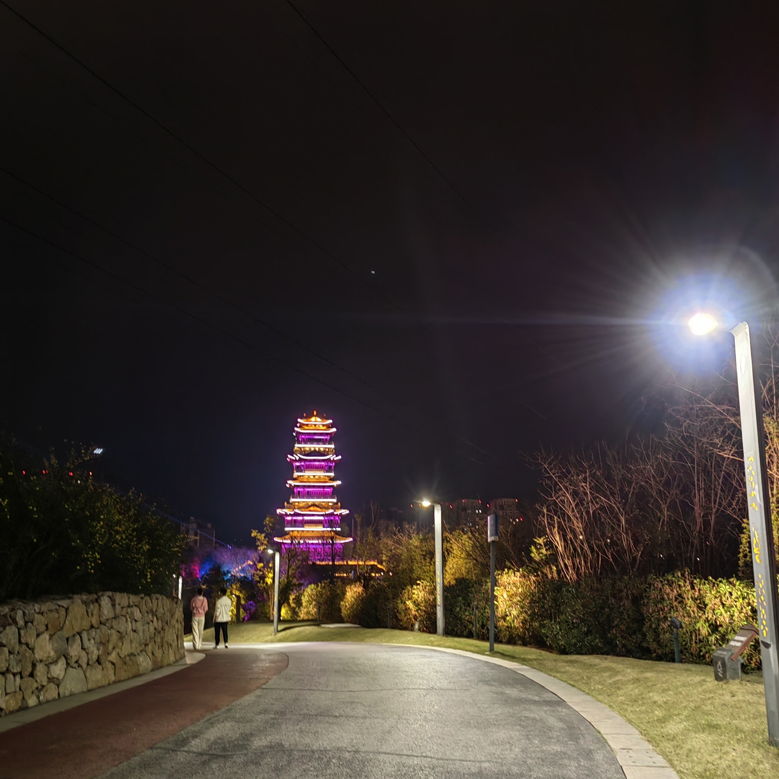 简阳鳌山公园夜景图片