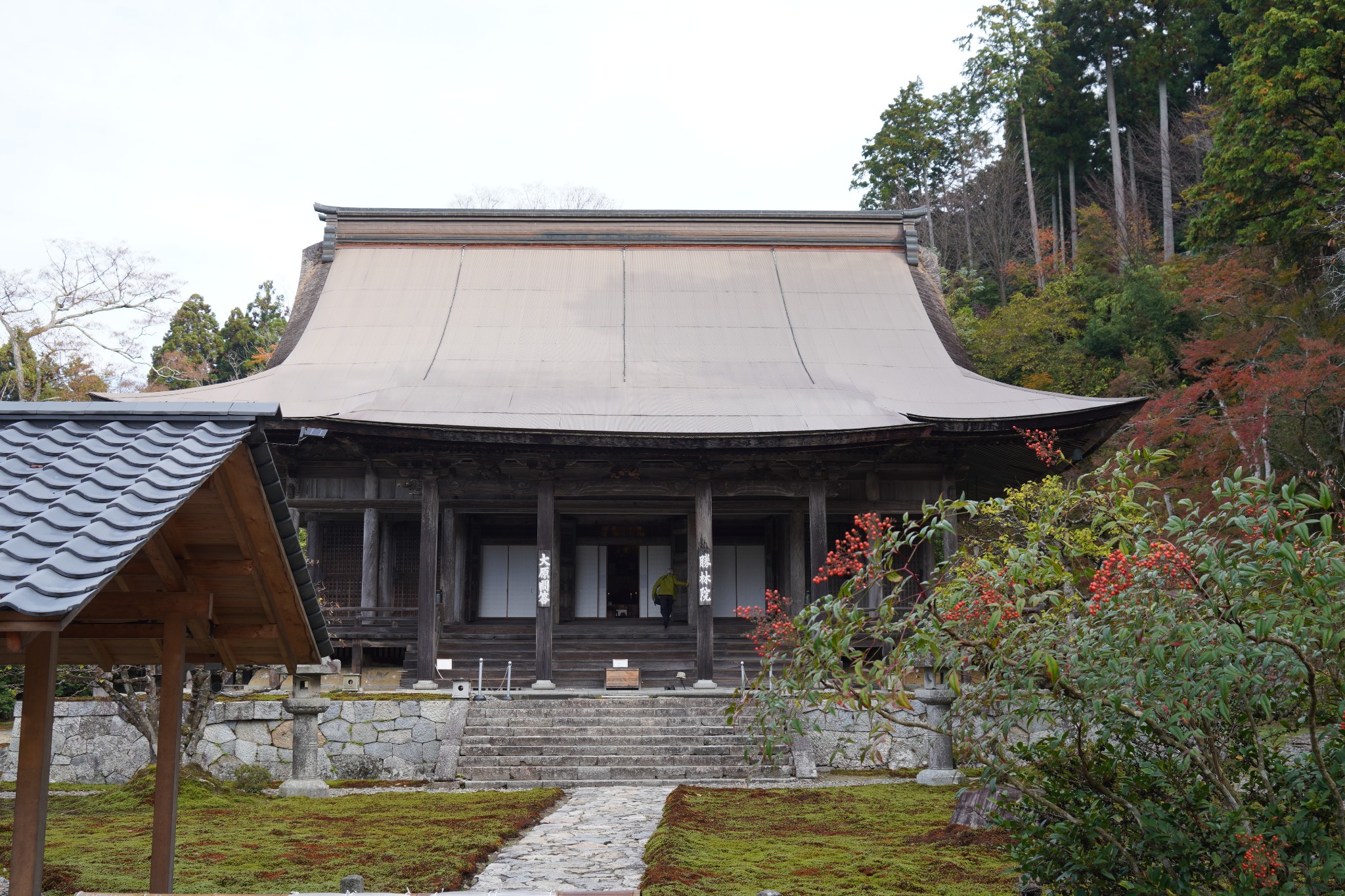 京都自助遊攻略