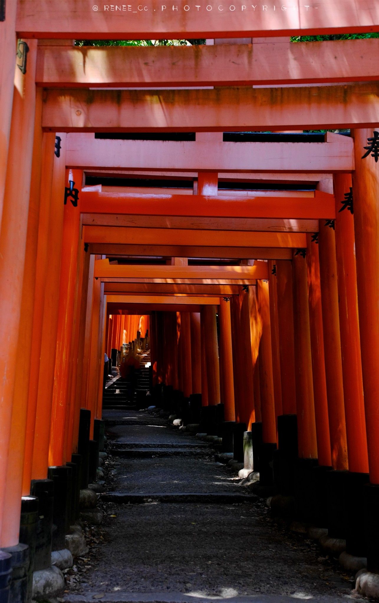 京都自助遊攻略