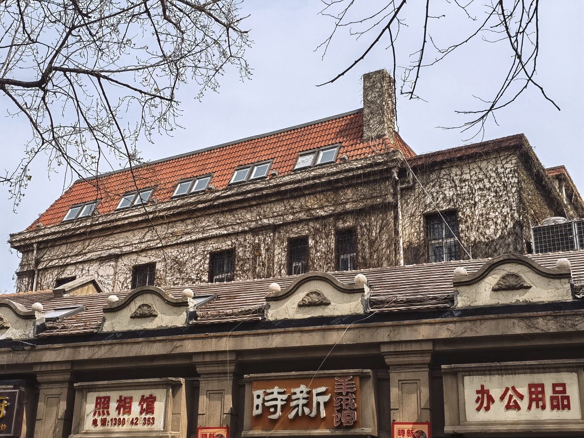 【青岛春日暴走日志】四天三夜：💨吹成海带的我们，与樱花撞个满怀🌸插图342
