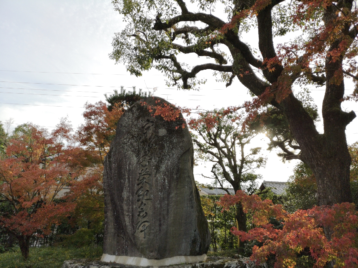 京都自助遊攻略