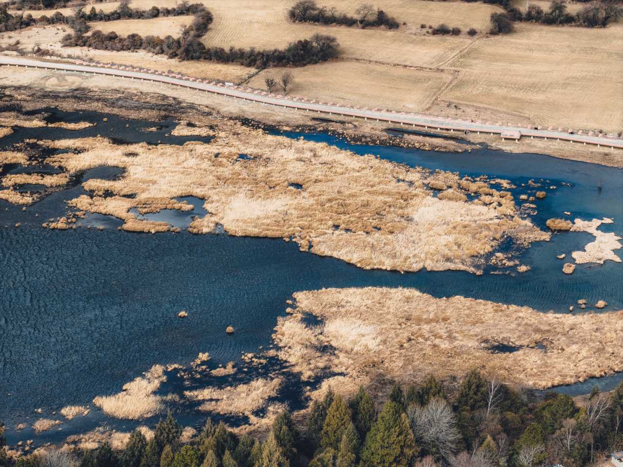 藏东杂记,林芝自助游攻略