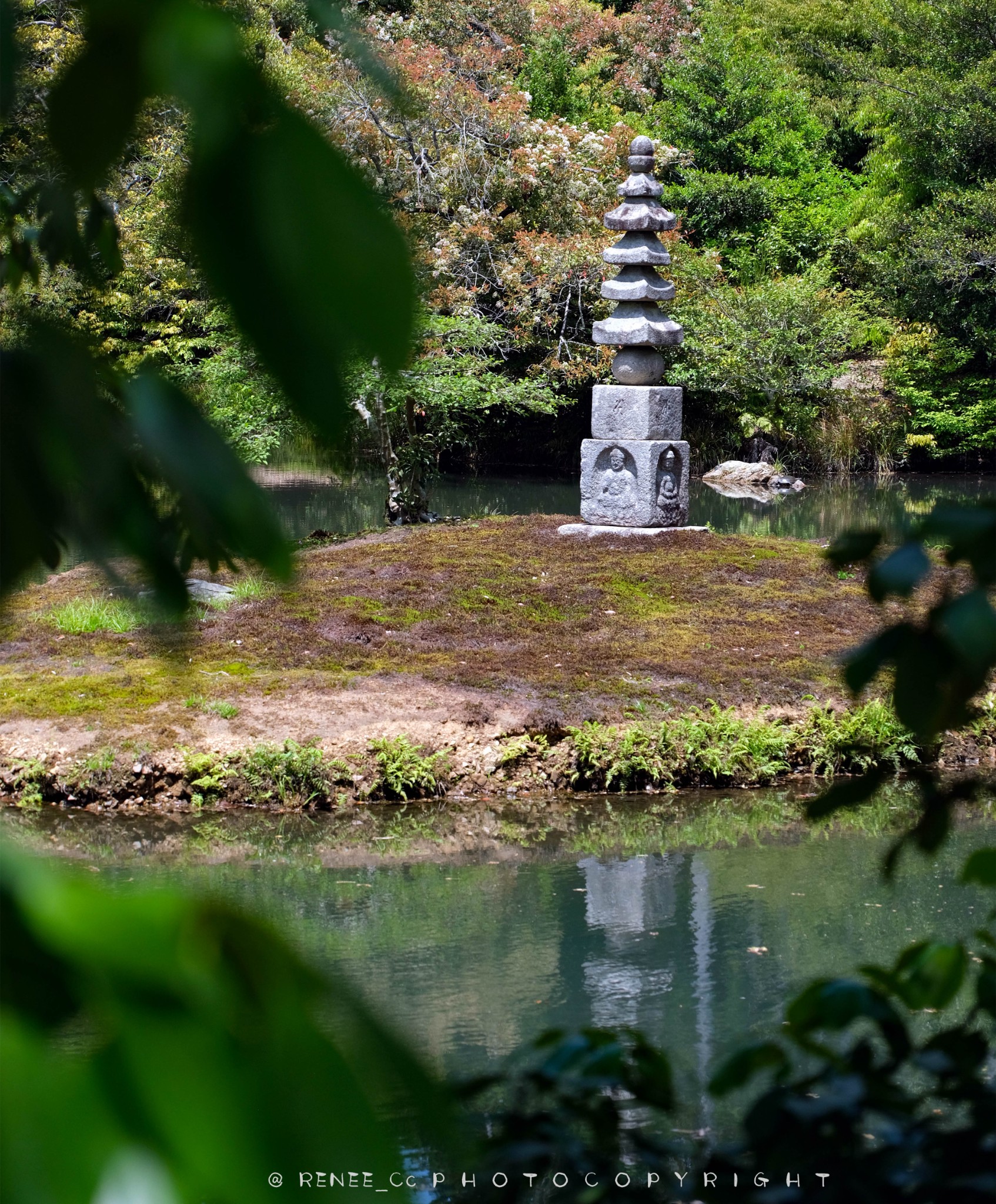 京都自助遊攻略