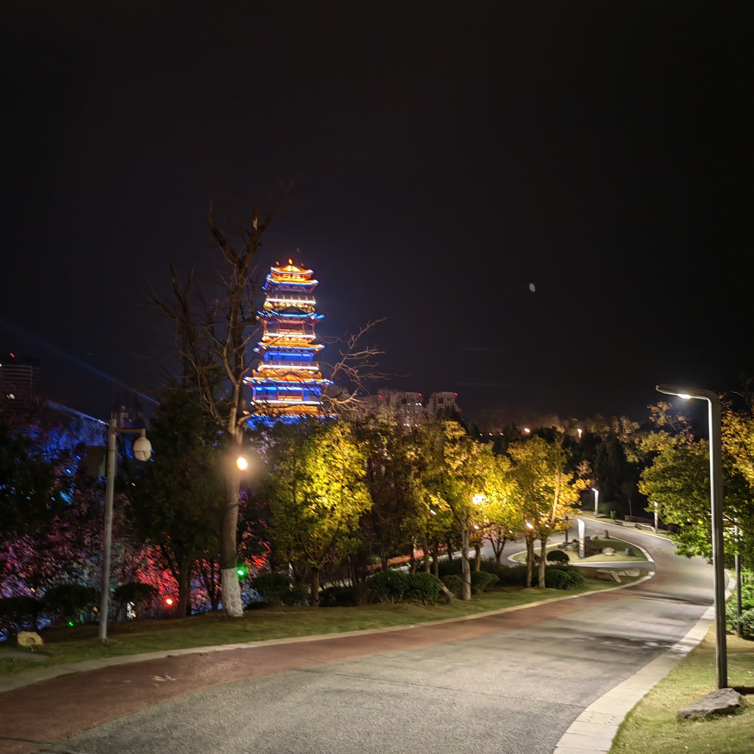 简阳鳌山公园夜景图片