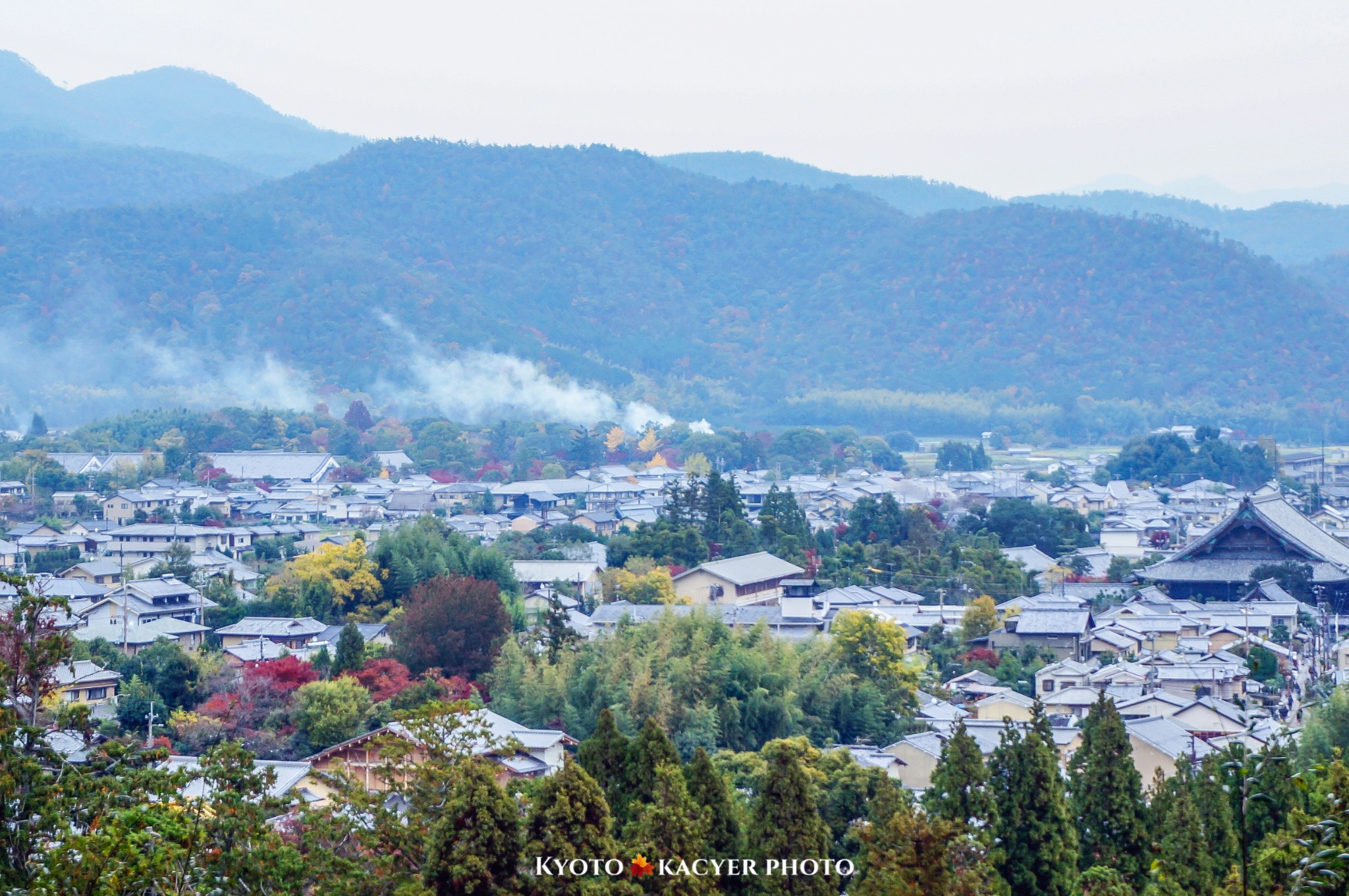 京都自助遊攻略