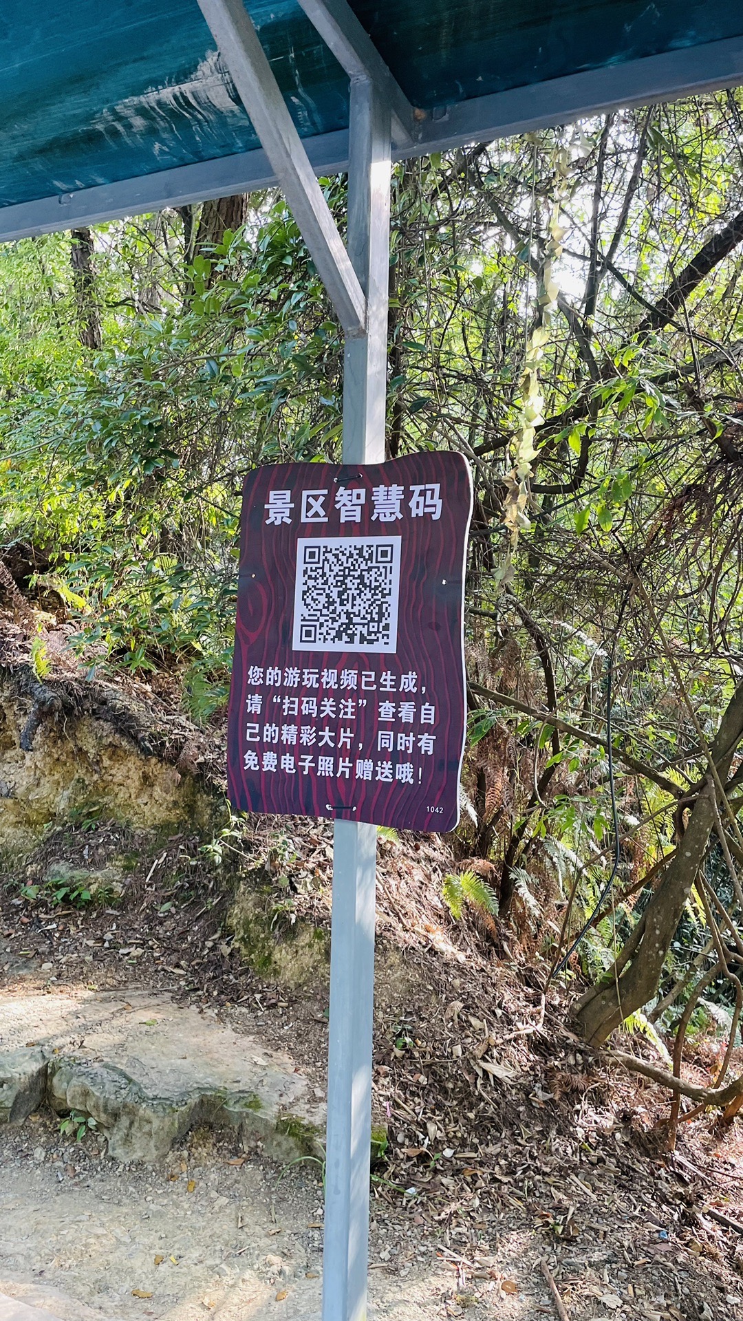 恩施利川自由行附利川到恩施大峡谷的独家穿梭秘诀