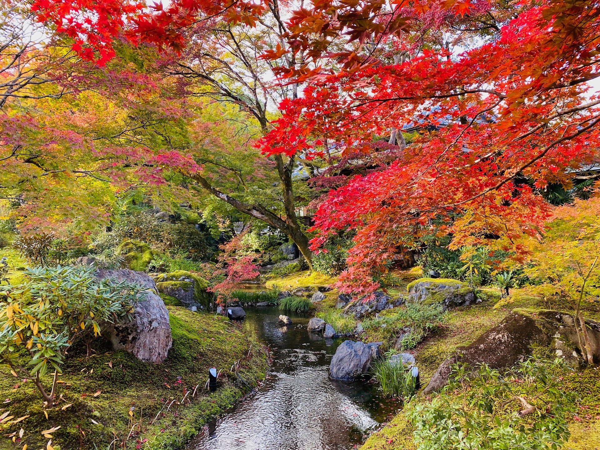 京都自助遊攻略