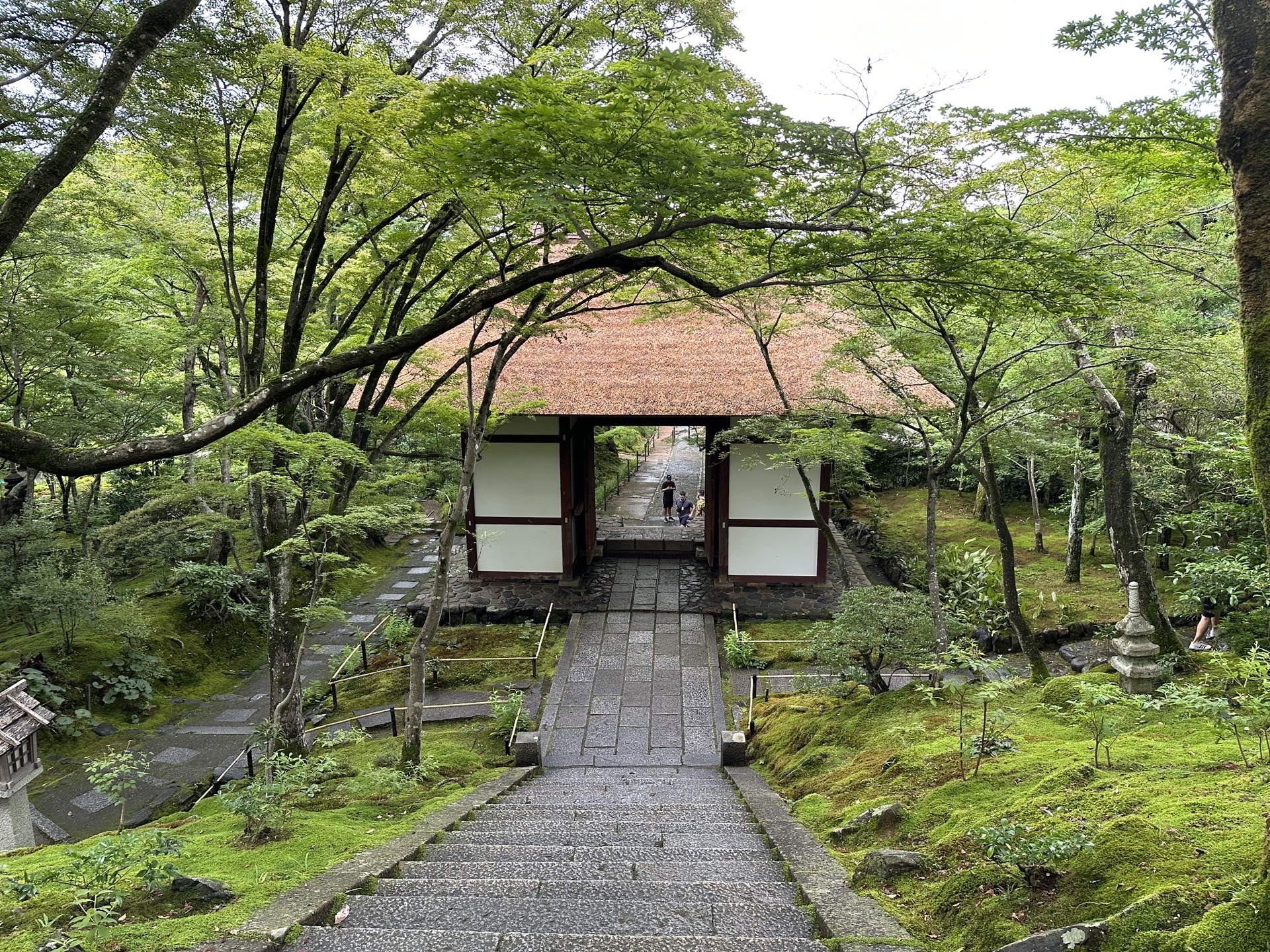 日本自助遊攻略