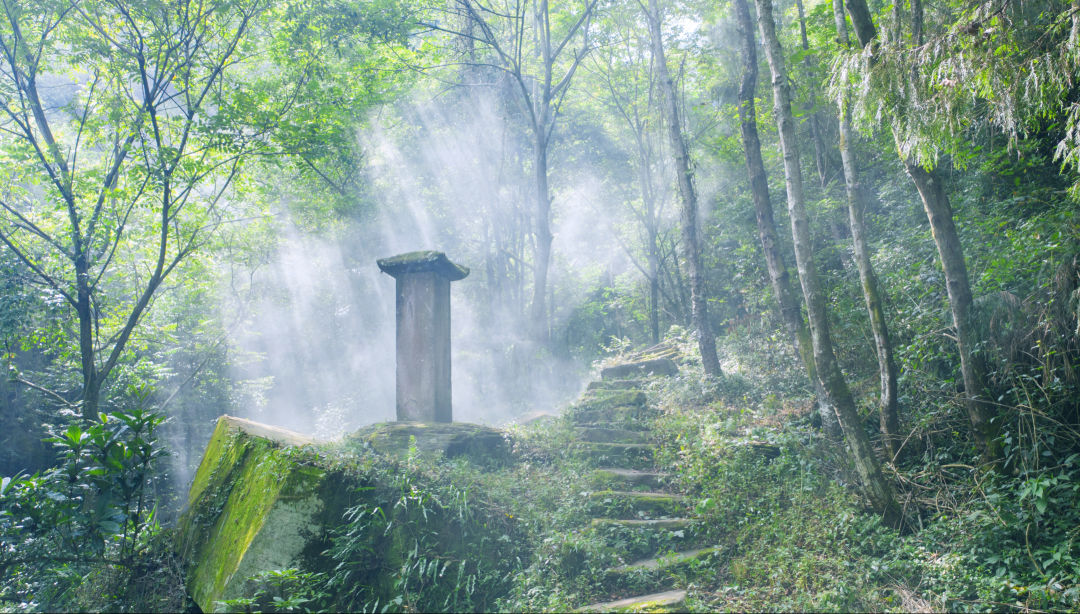 光雾山米仓古道图片