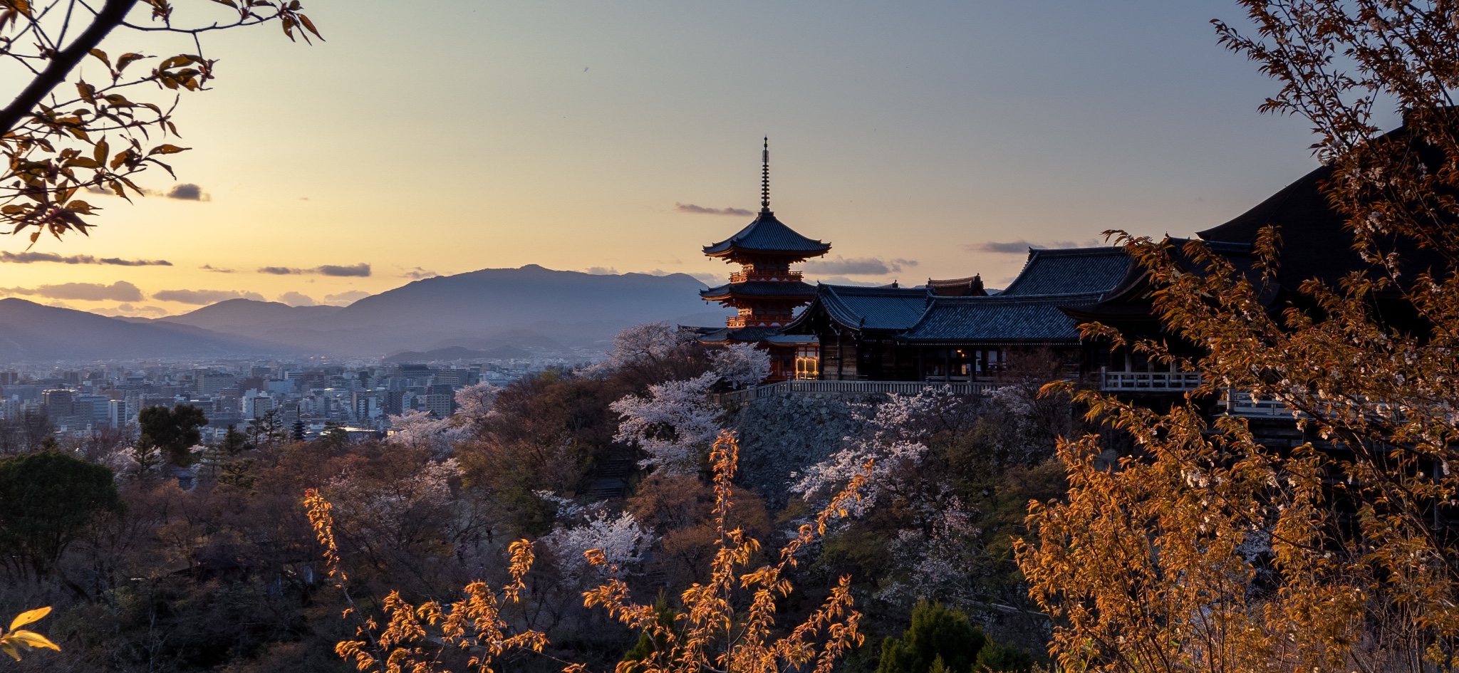 京都自助遊攻略