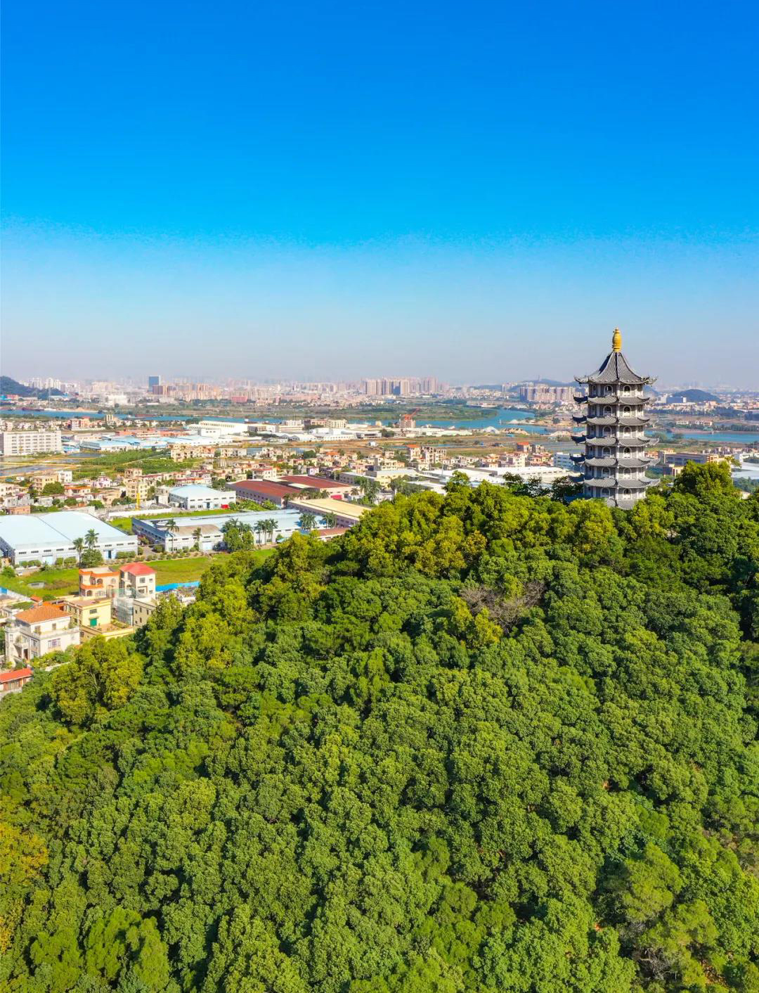 浮虚山森林公园 赏花季必打卡人气公园