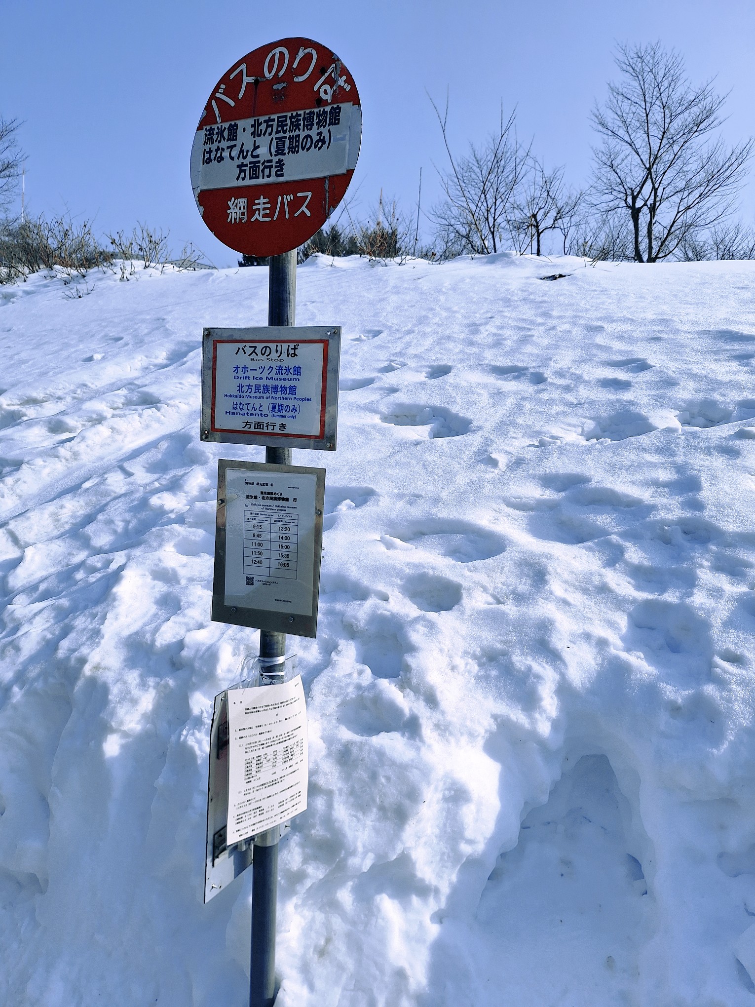 北海道自助遊攻略