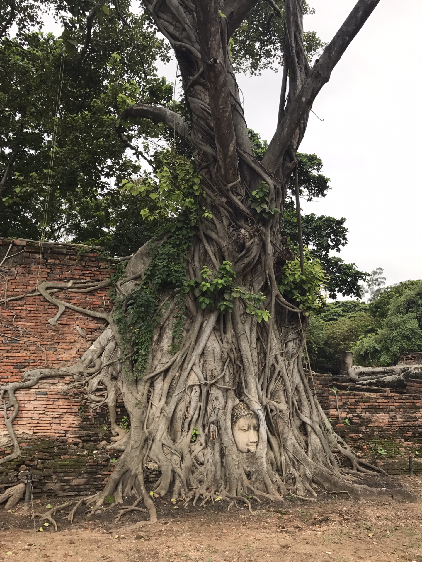 泰國自助遊攻略