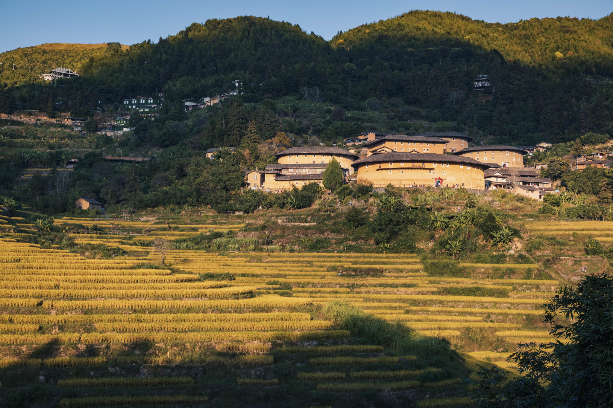 福建自助遊攻略