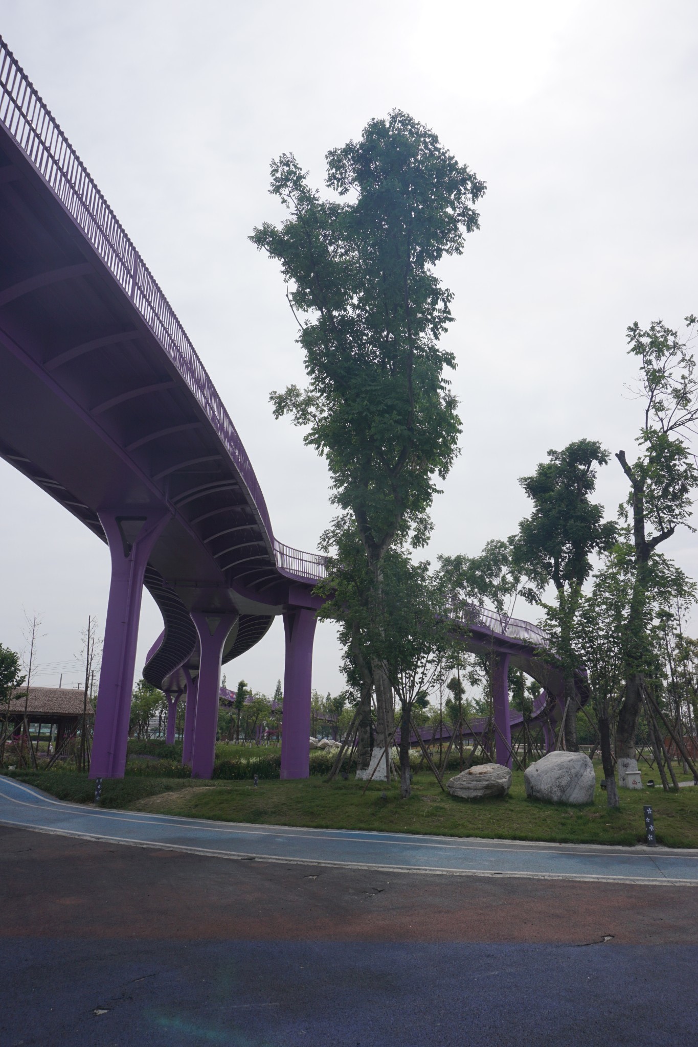 锦城绿道慢慢行