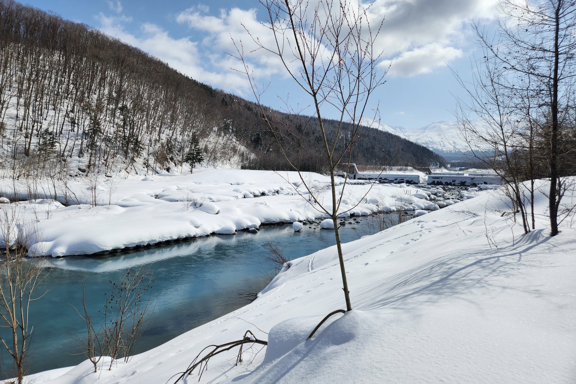 北海道自助遊攻略