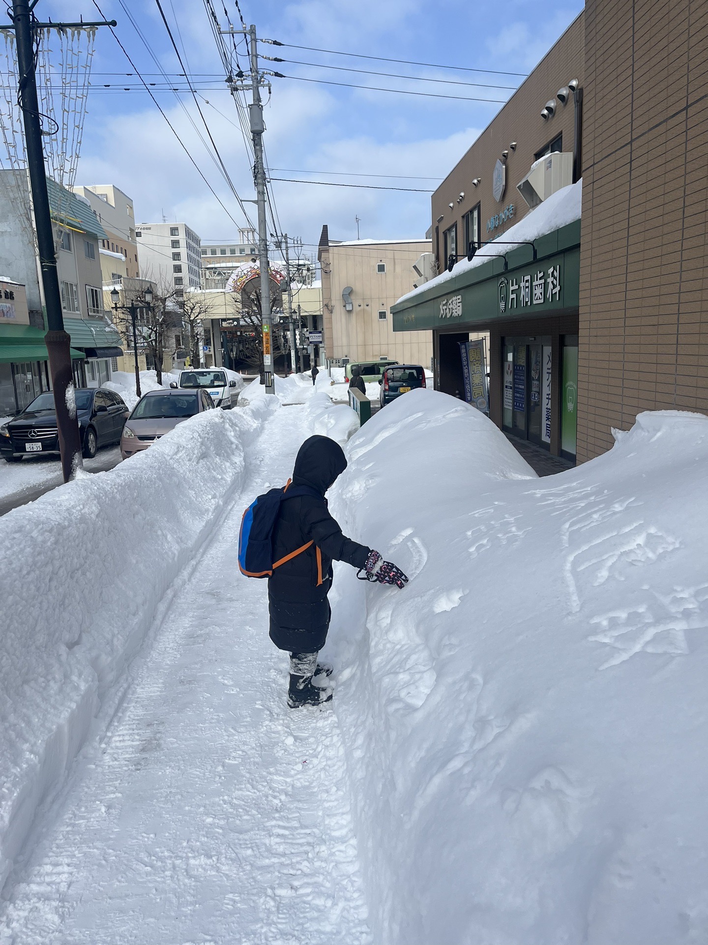 北海道自助遊攻略